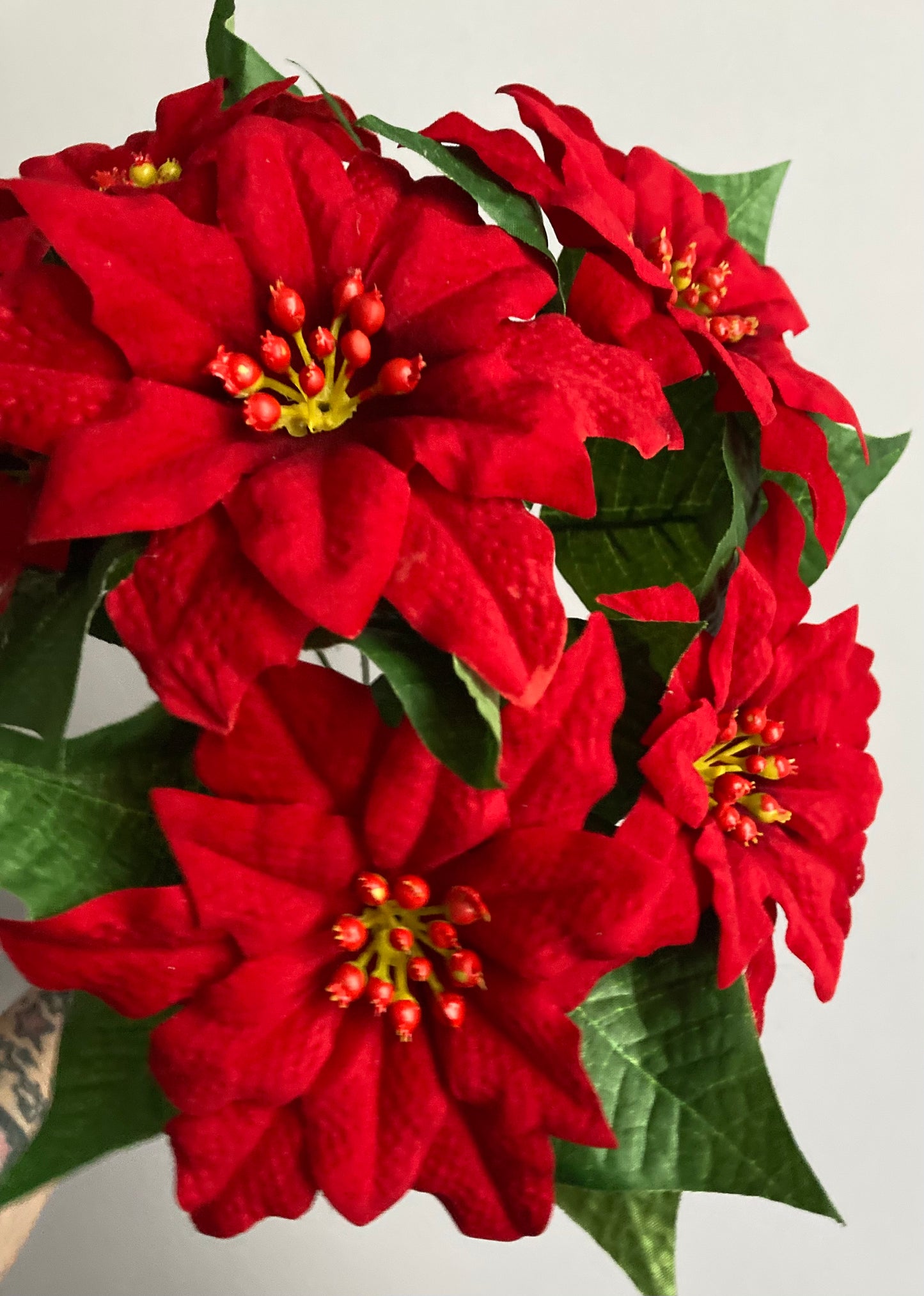 6 Red Poinsettia Soft Touch Bunch