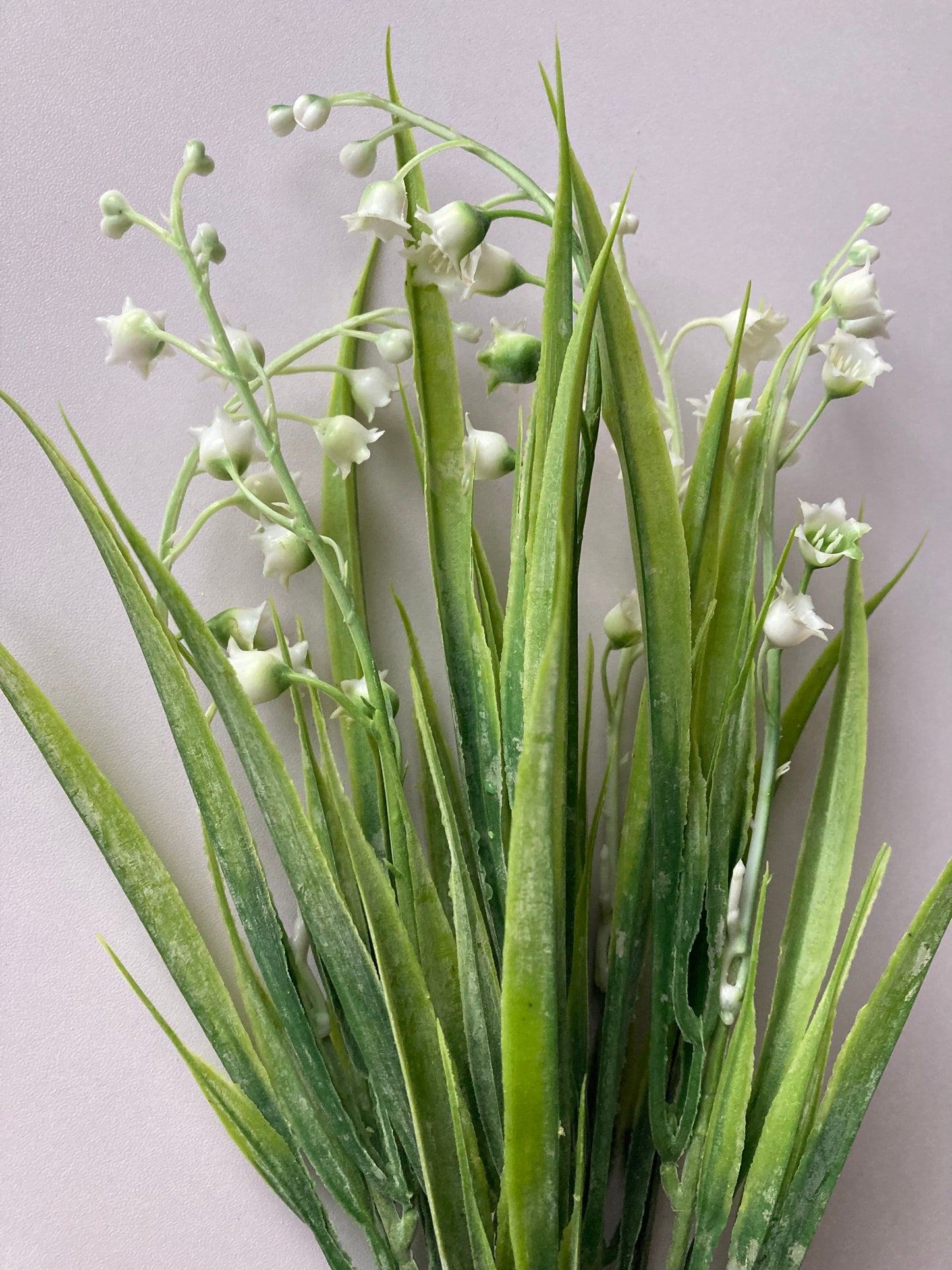 White Lily Of The Valley