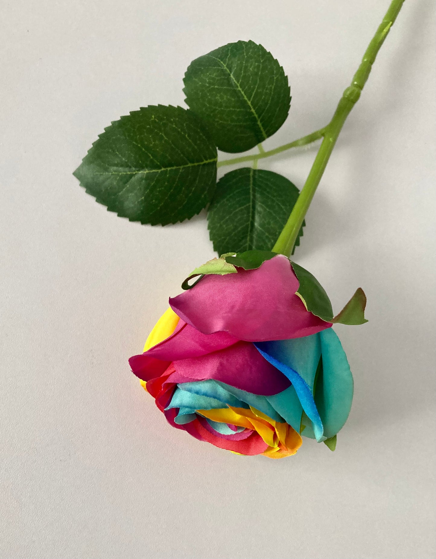 50cm Rainbow Rosebud Single Stem