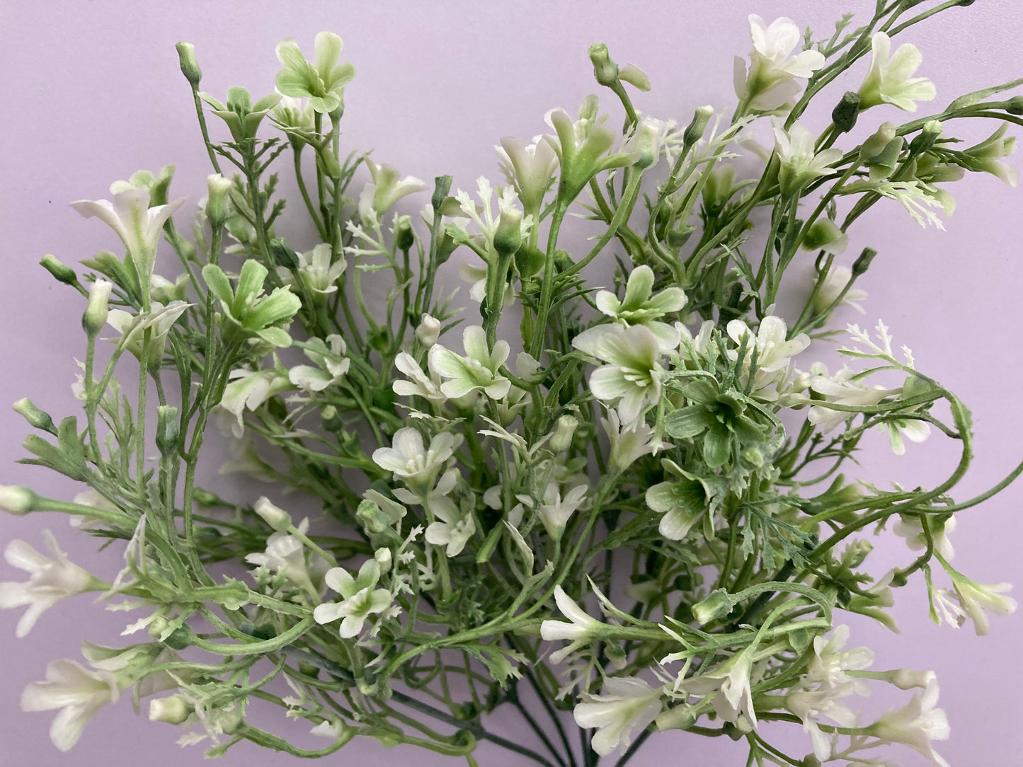 White & Green Flowered Foliage