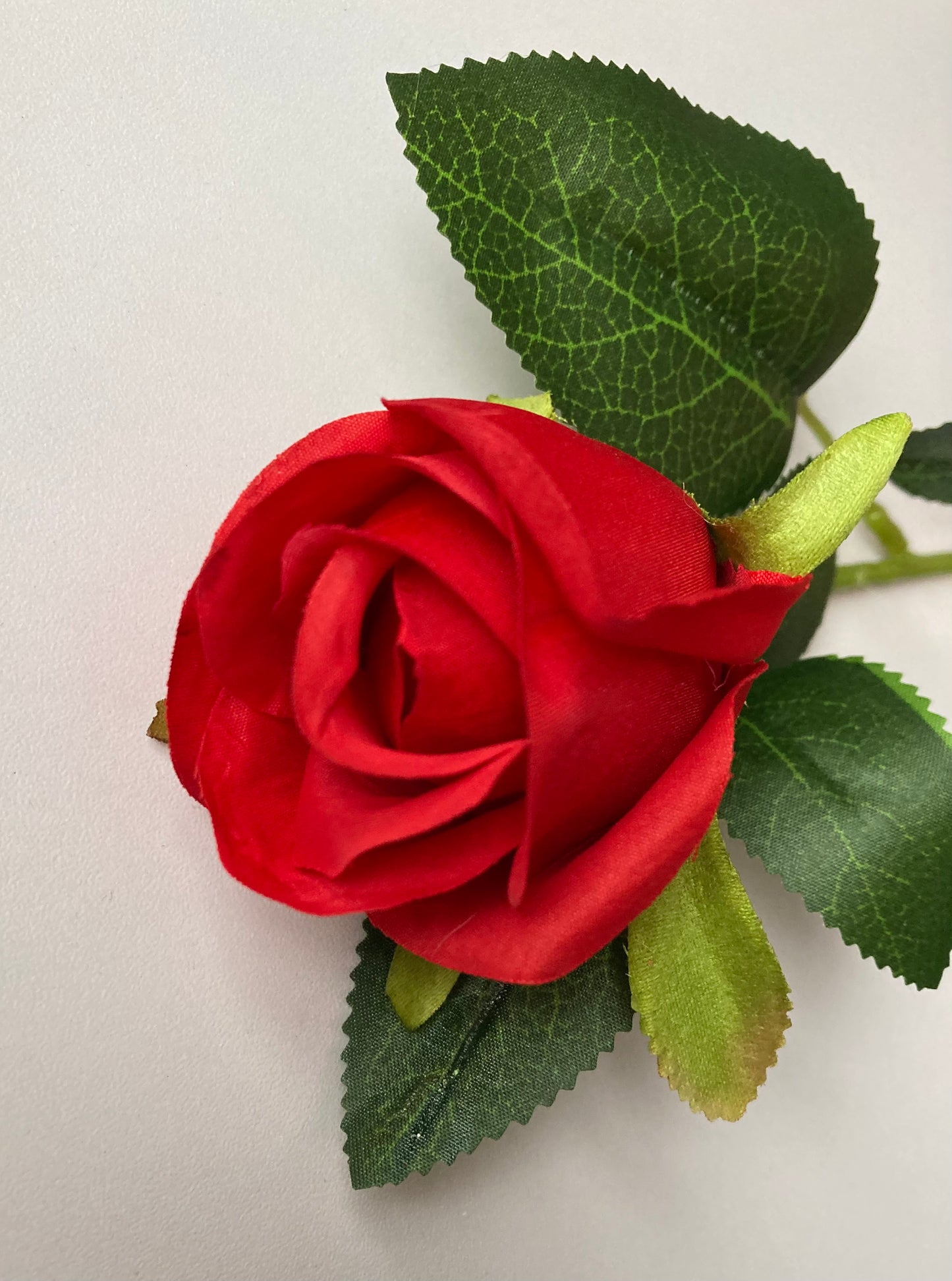 Short Stem Red Rose Bud