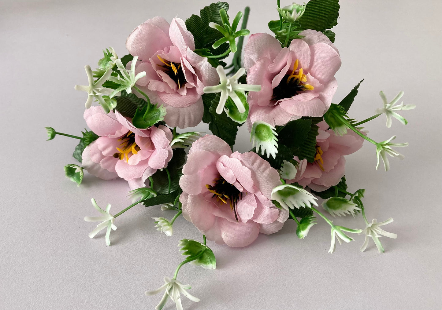 5 Pink Anemone Bunch