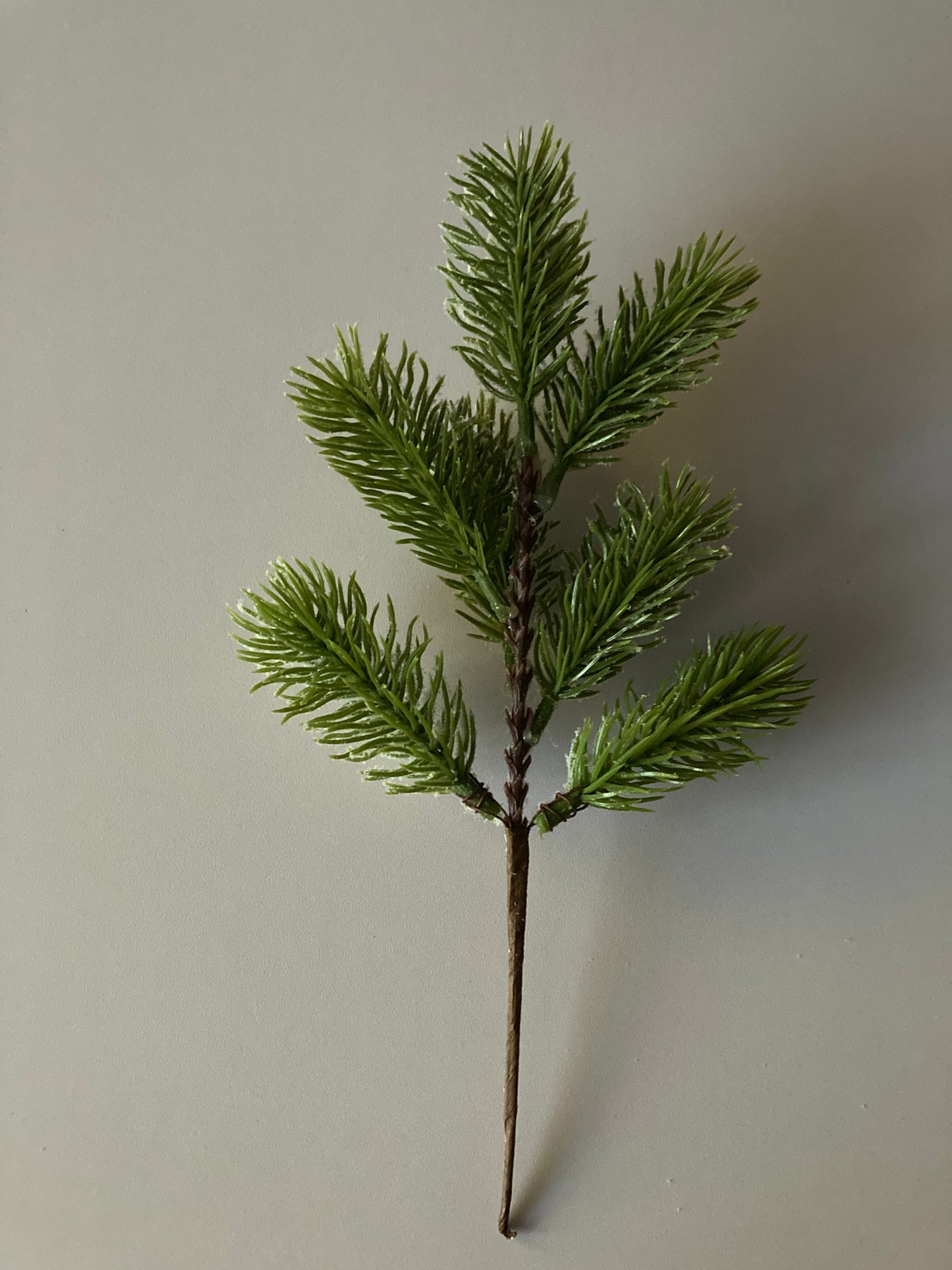 Snowy Spruce Stem