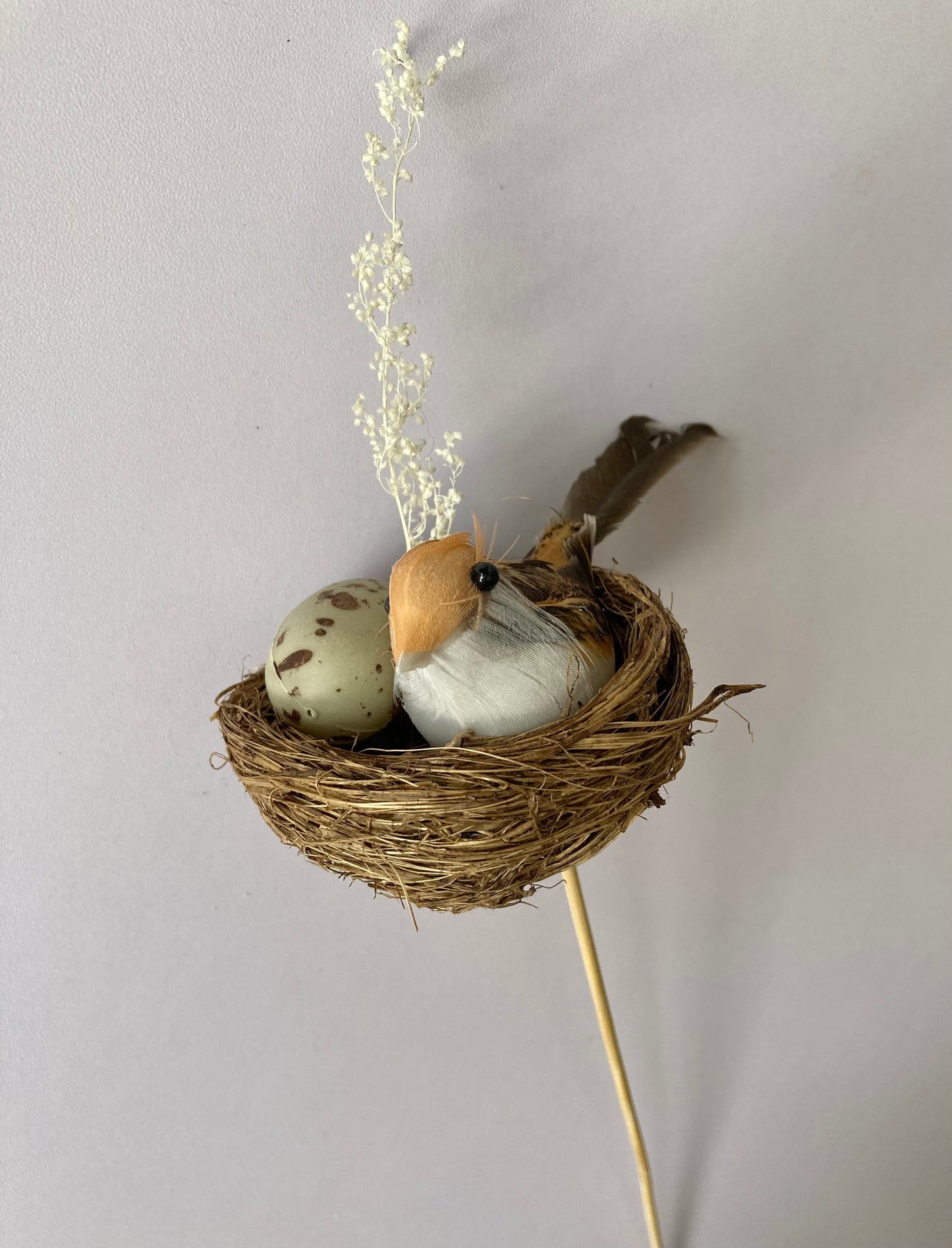 Bird Nest Pick