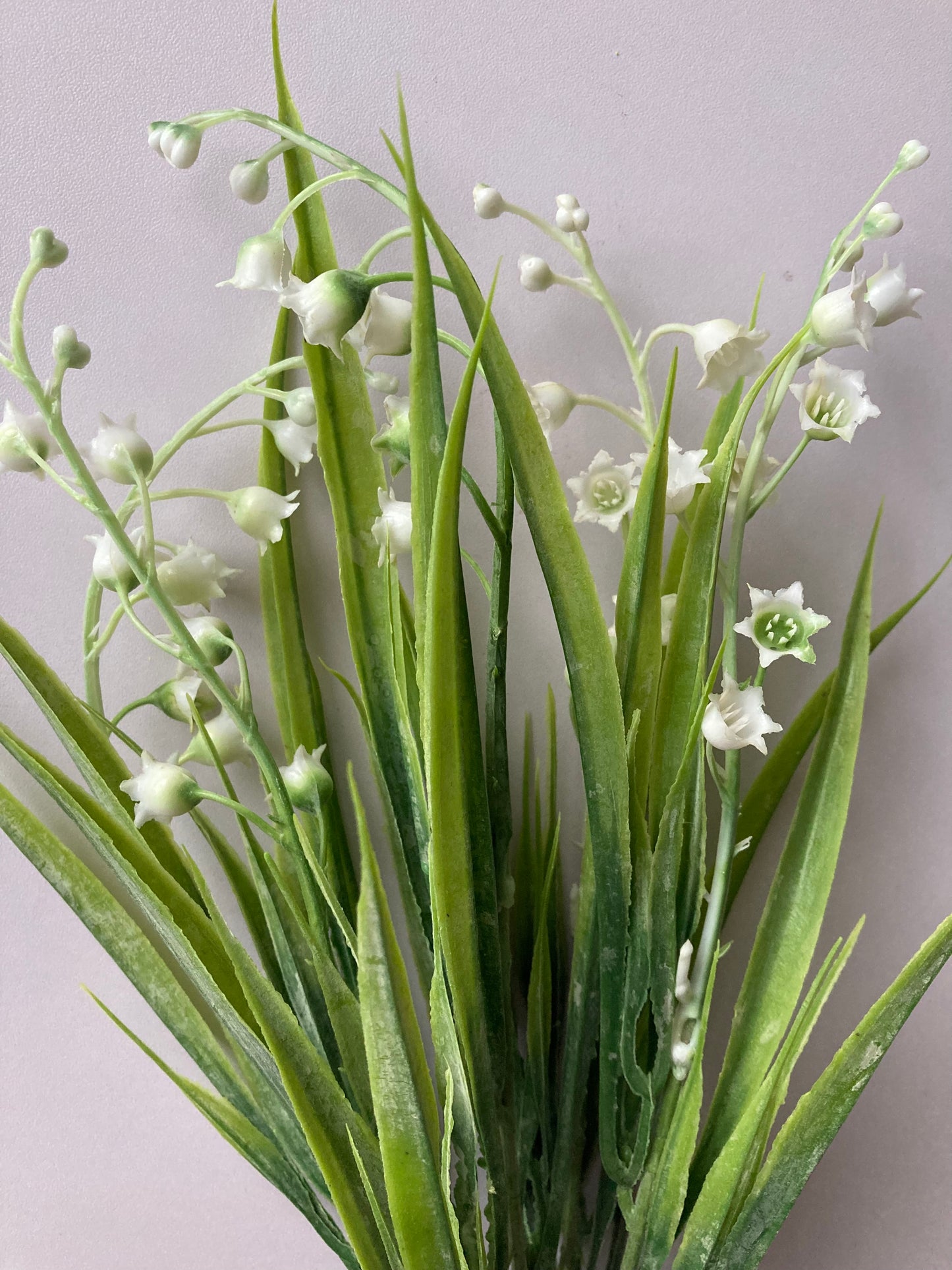 White Lily Of The Valley