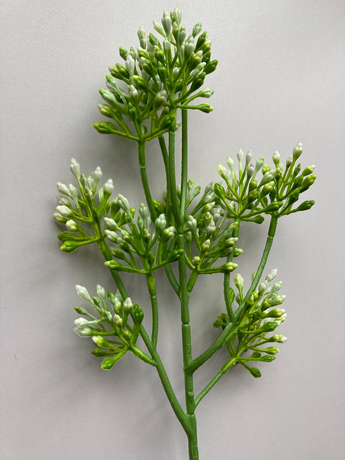 White Berry Spray