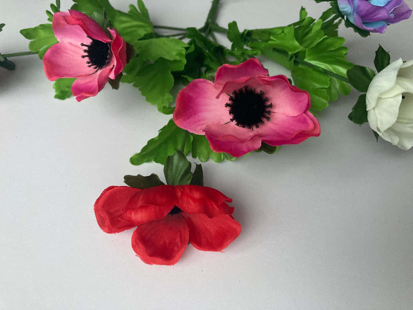 Colourful Anemone Bunch
