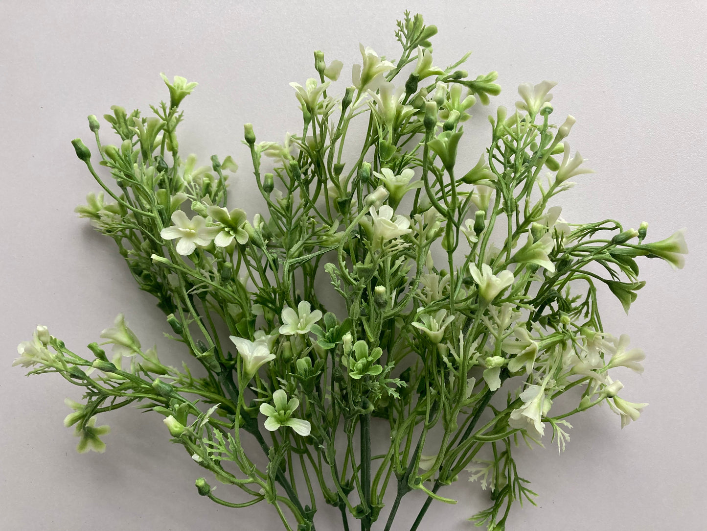 White & Green Flowered Foliage