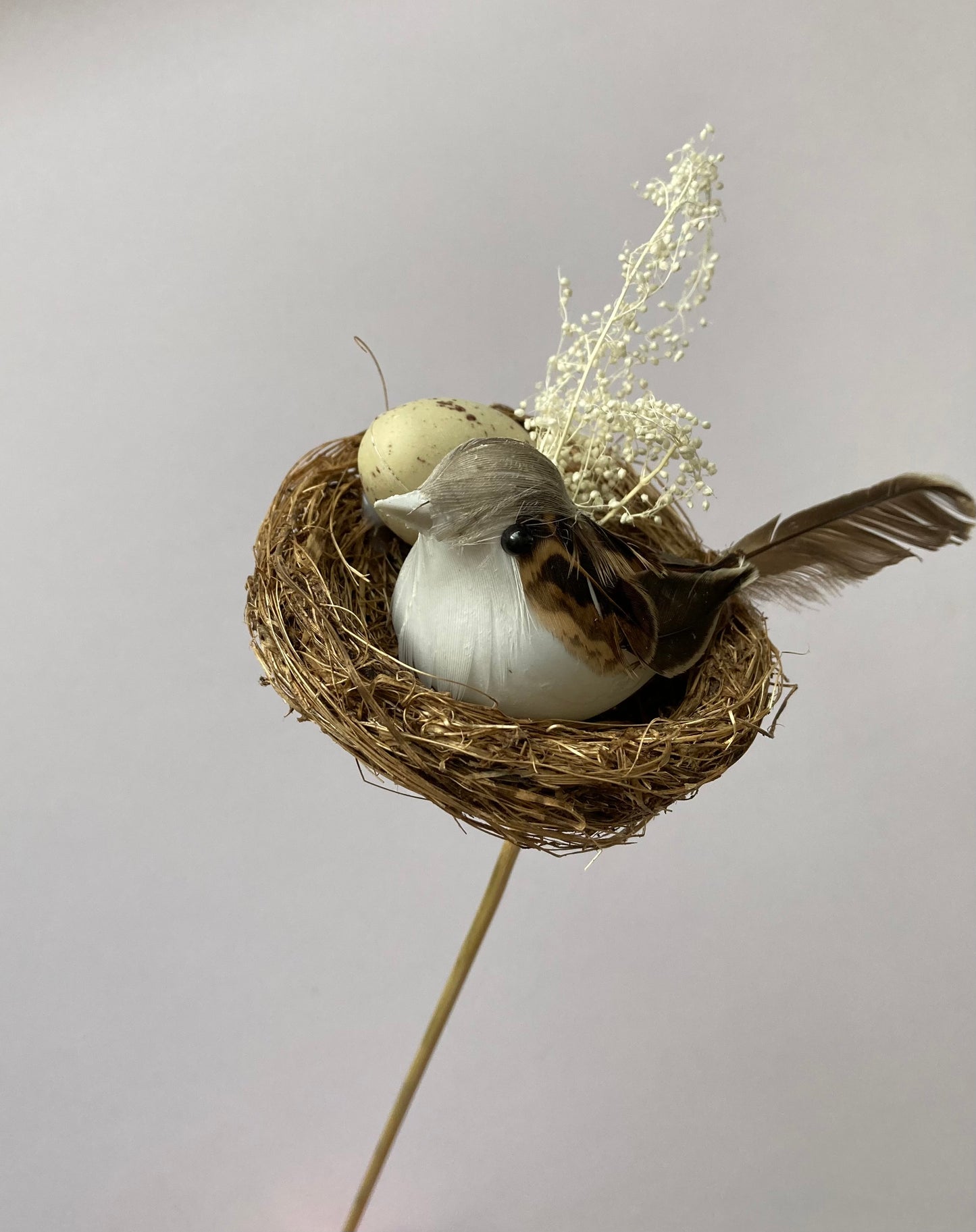 Bird Nest Pick