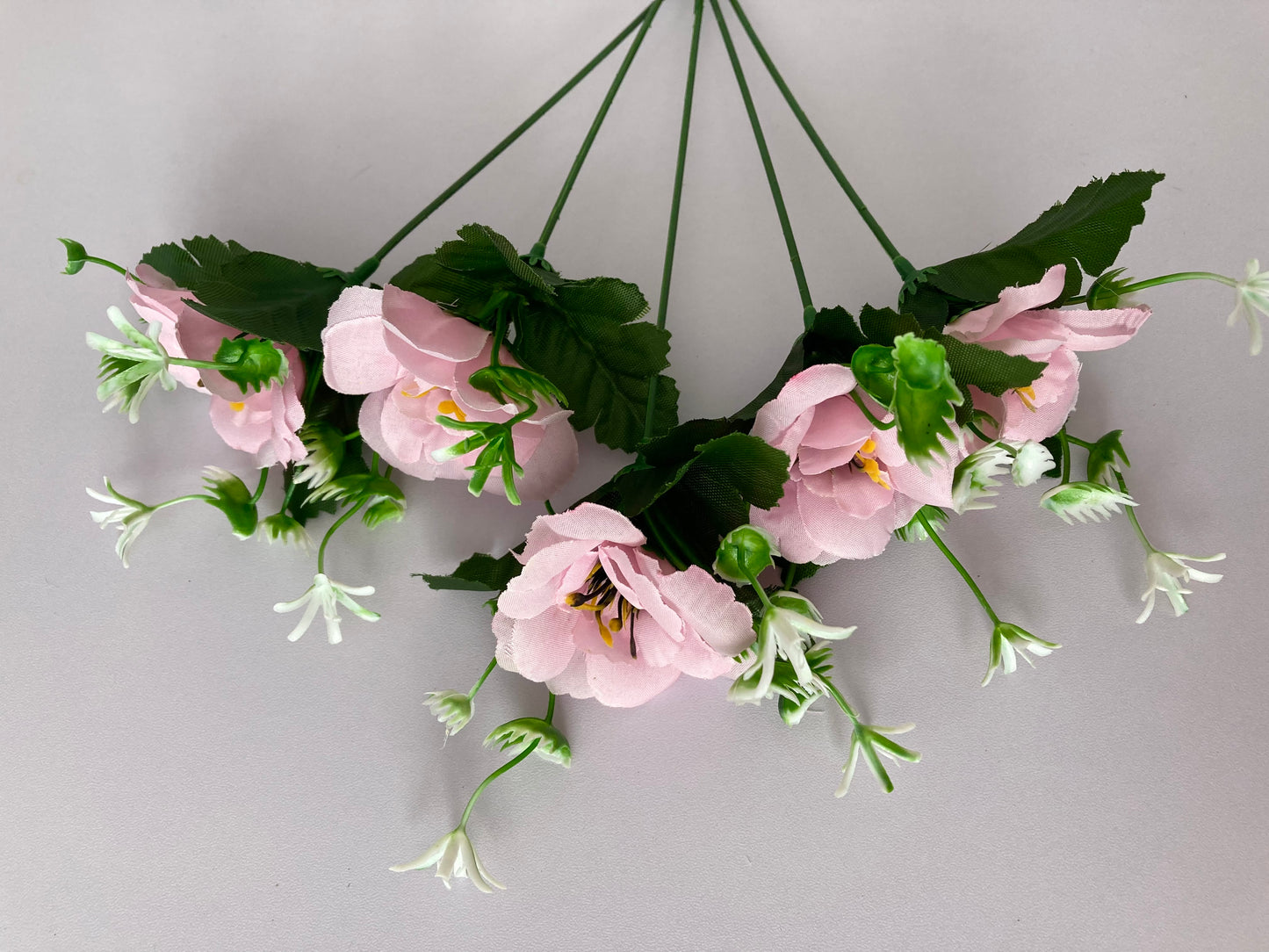 5 Pink Anemone Bunch