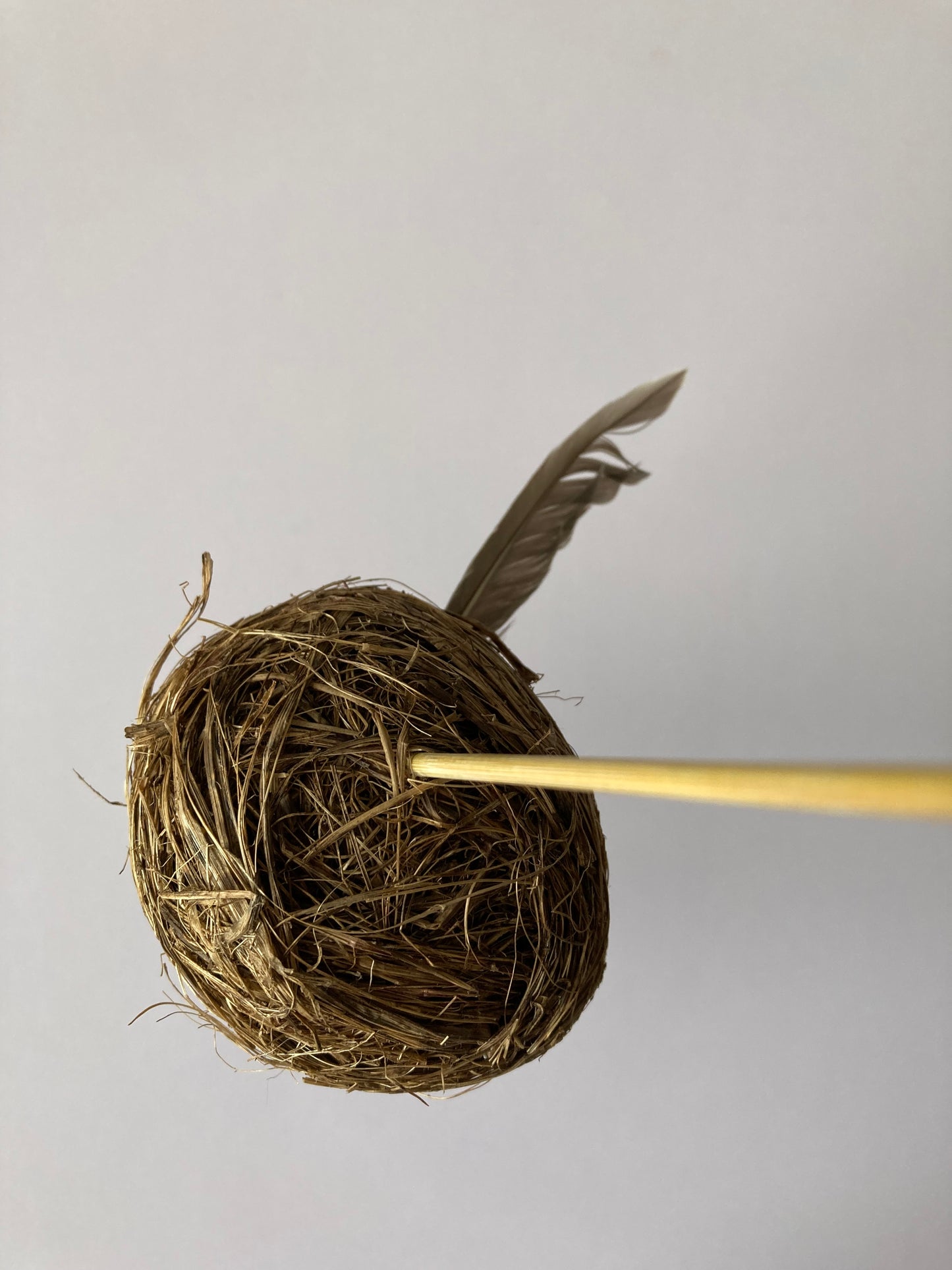 Bird Nest Pick