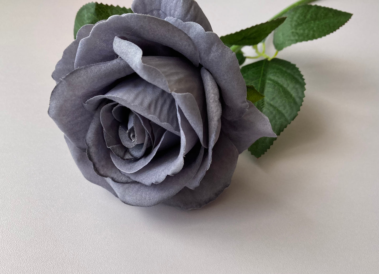 Grey Soft Velvet Touch Rose