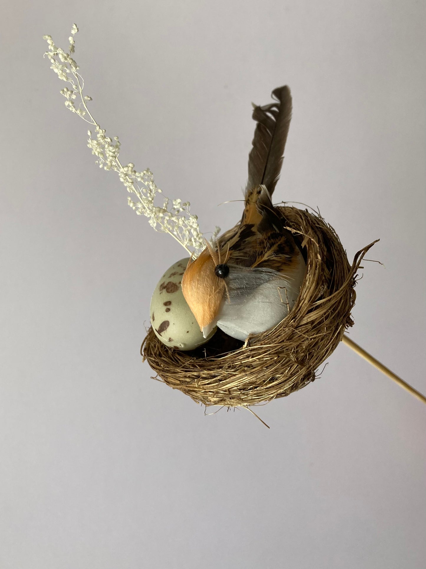 Bird Nest Pick