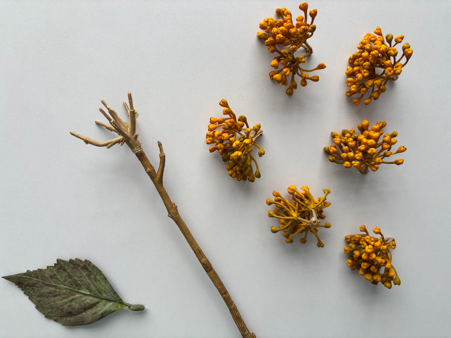 Mustard/Yellow Hydrangea Berry Stem