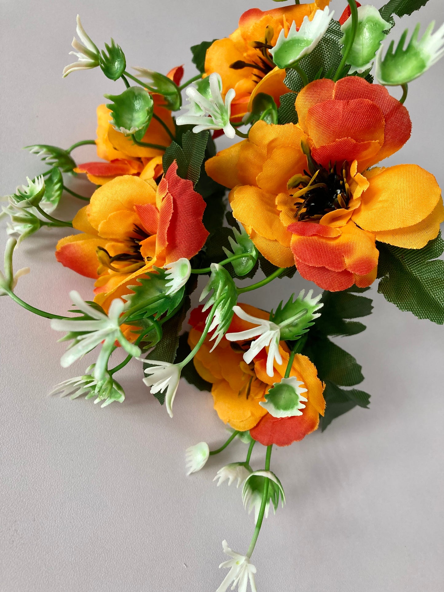 5 Orange Anemone Bunch