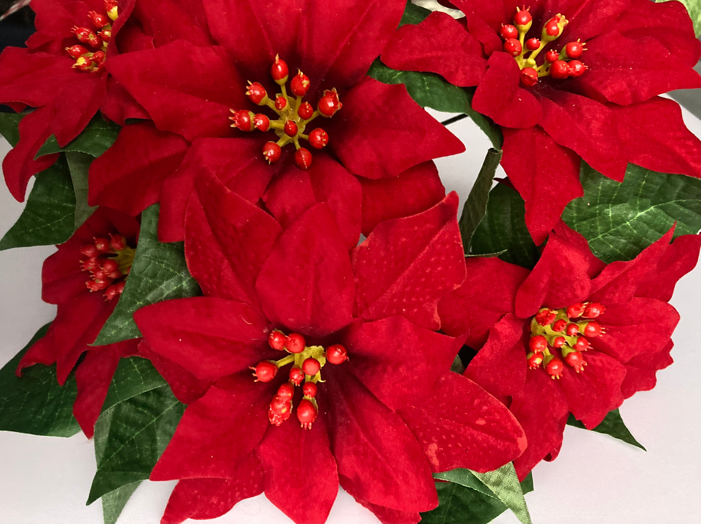 6 Red Poinsettia Soft Touch Bunch