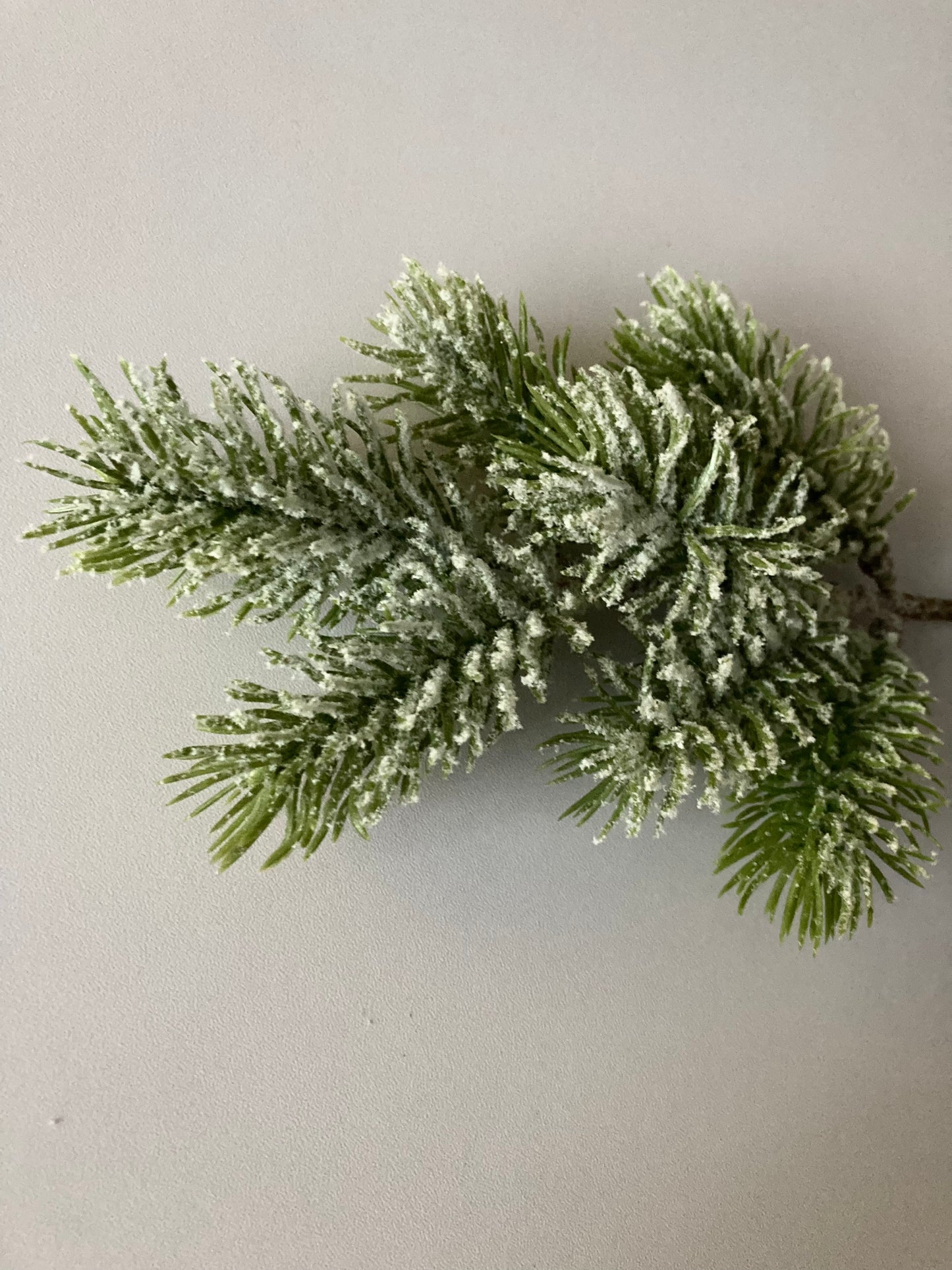 Snowy Spruce Stem