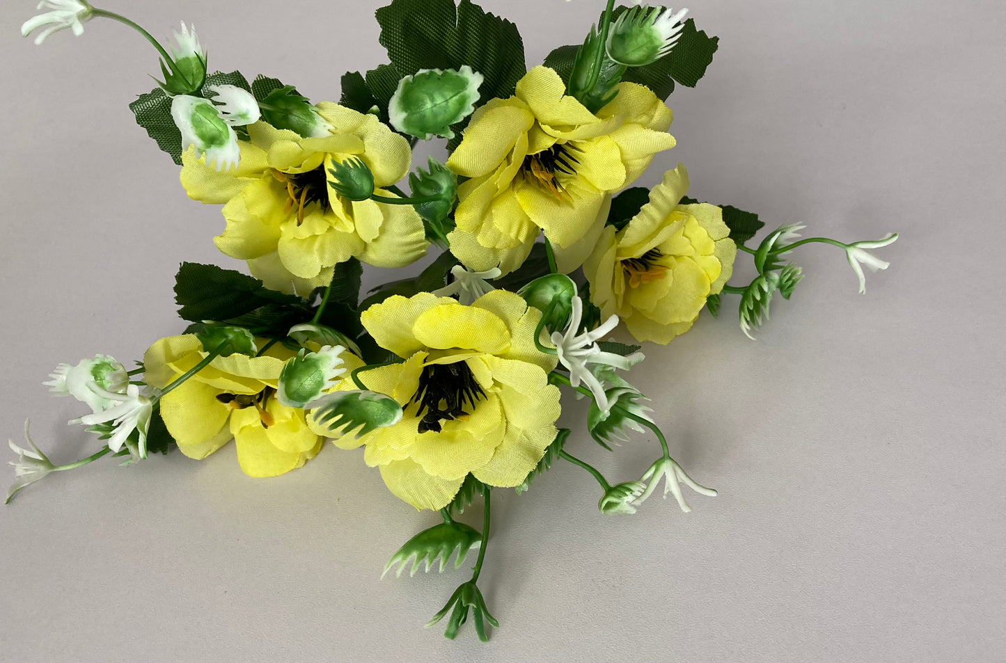 5 Bright Yellow Anemone Bunch