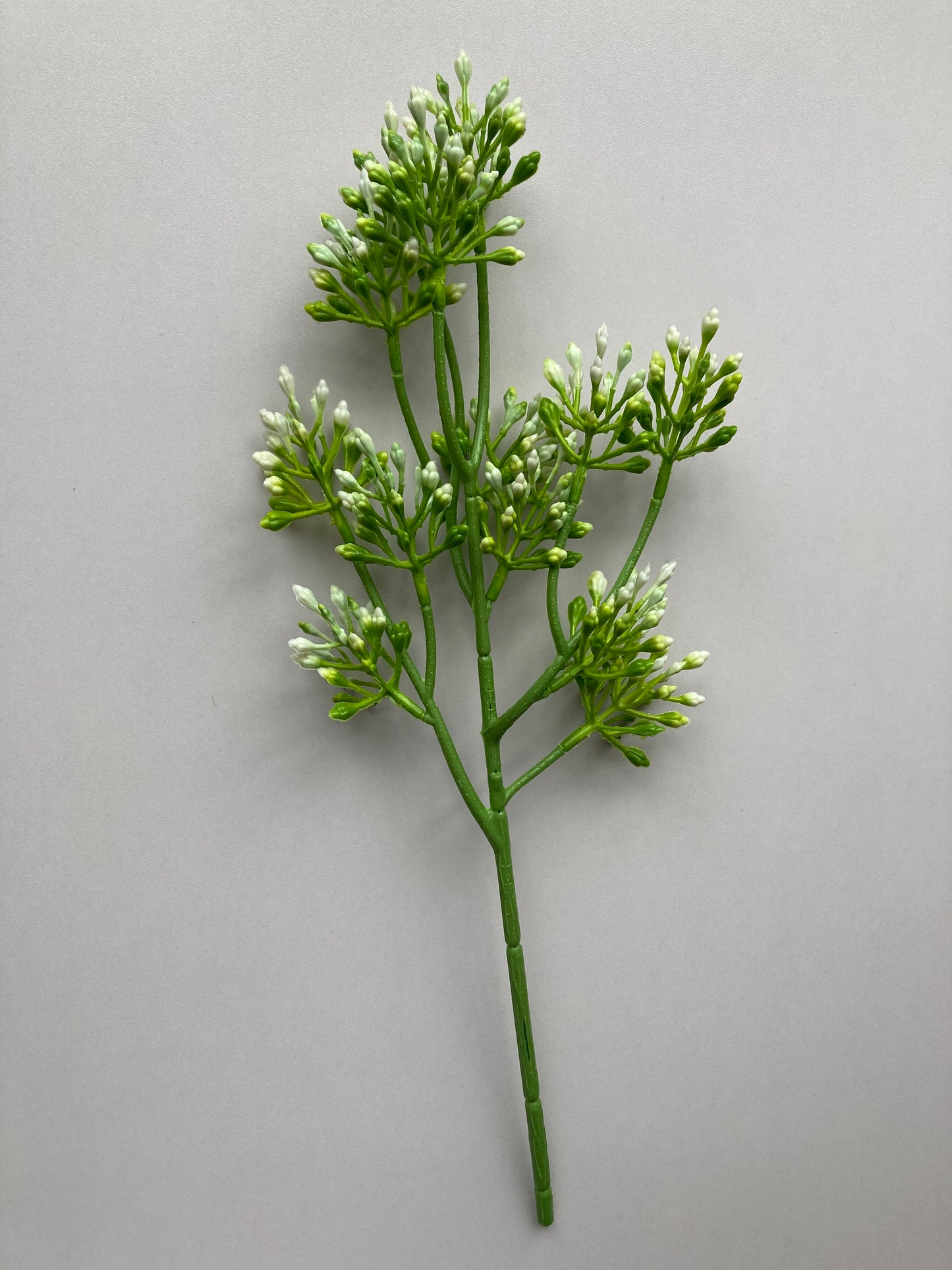 White Berry Spray