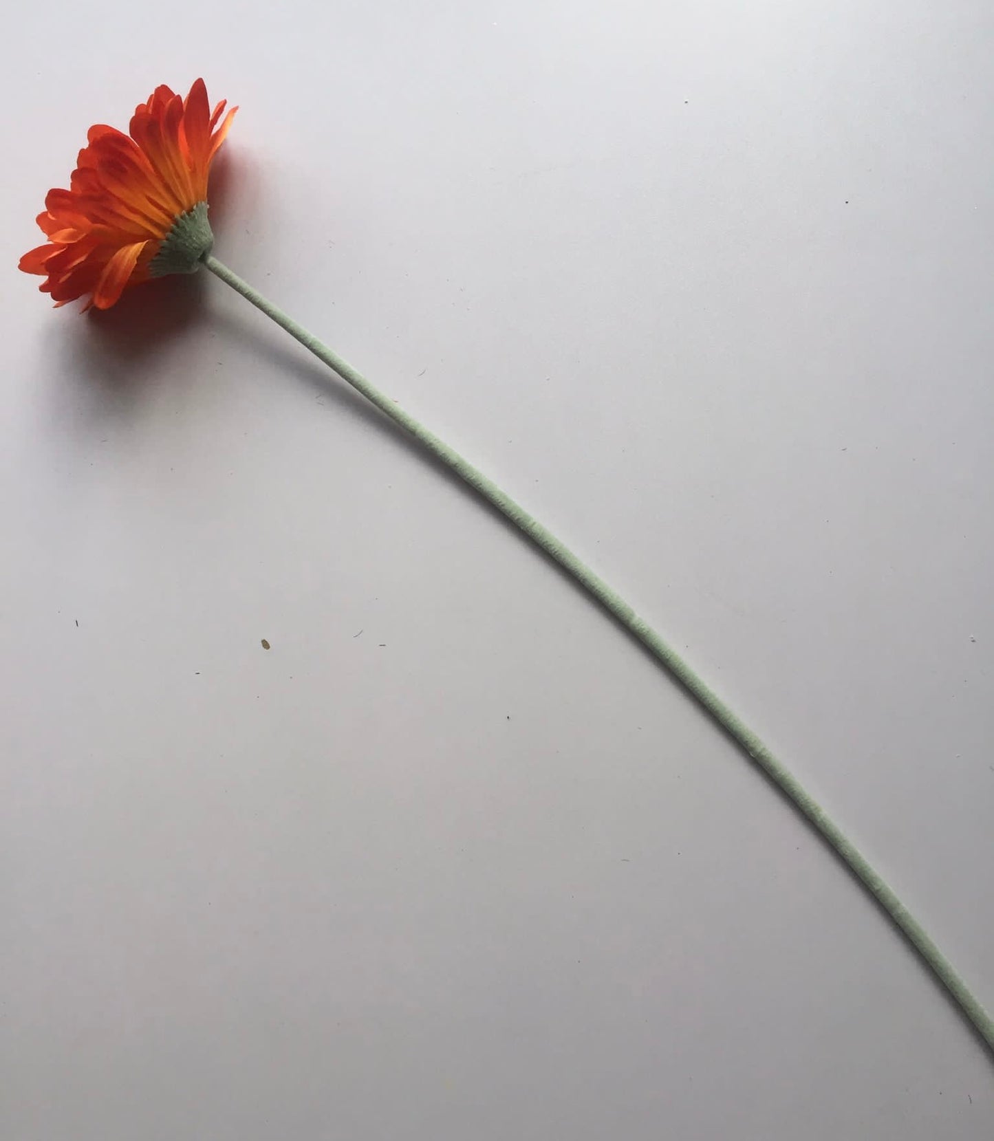 Orange Gerbera Single Stem