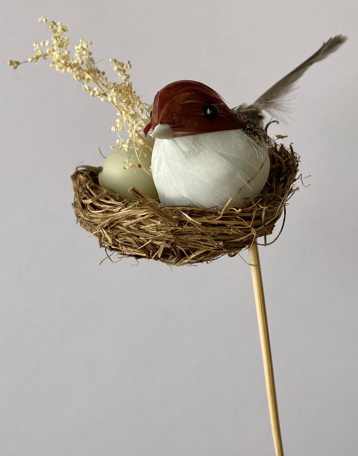 Bird Nest Pick
