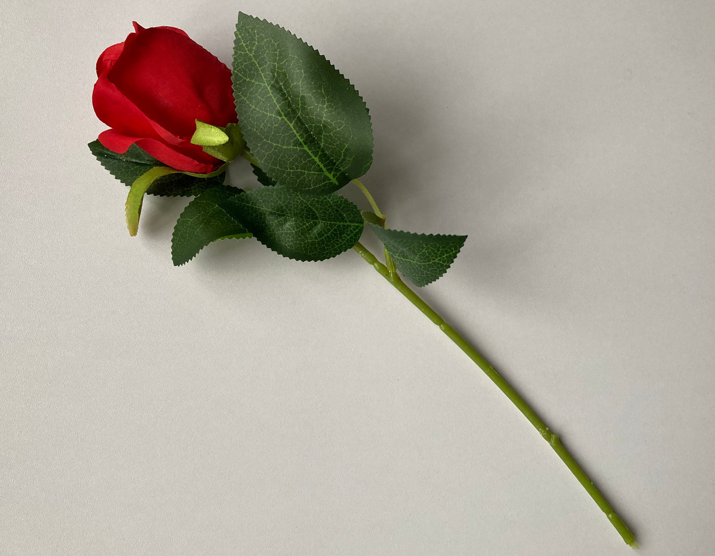 Short Stem Red Rose Bud
