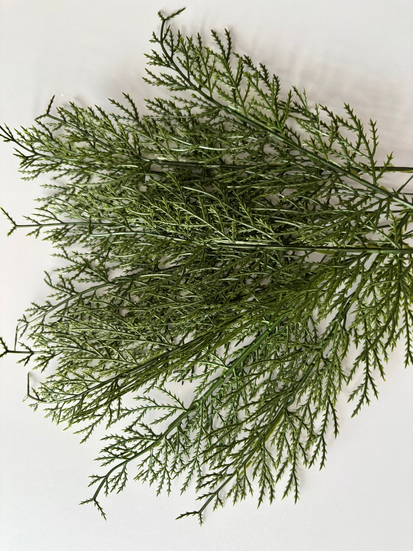 10 Cedar Single Stems