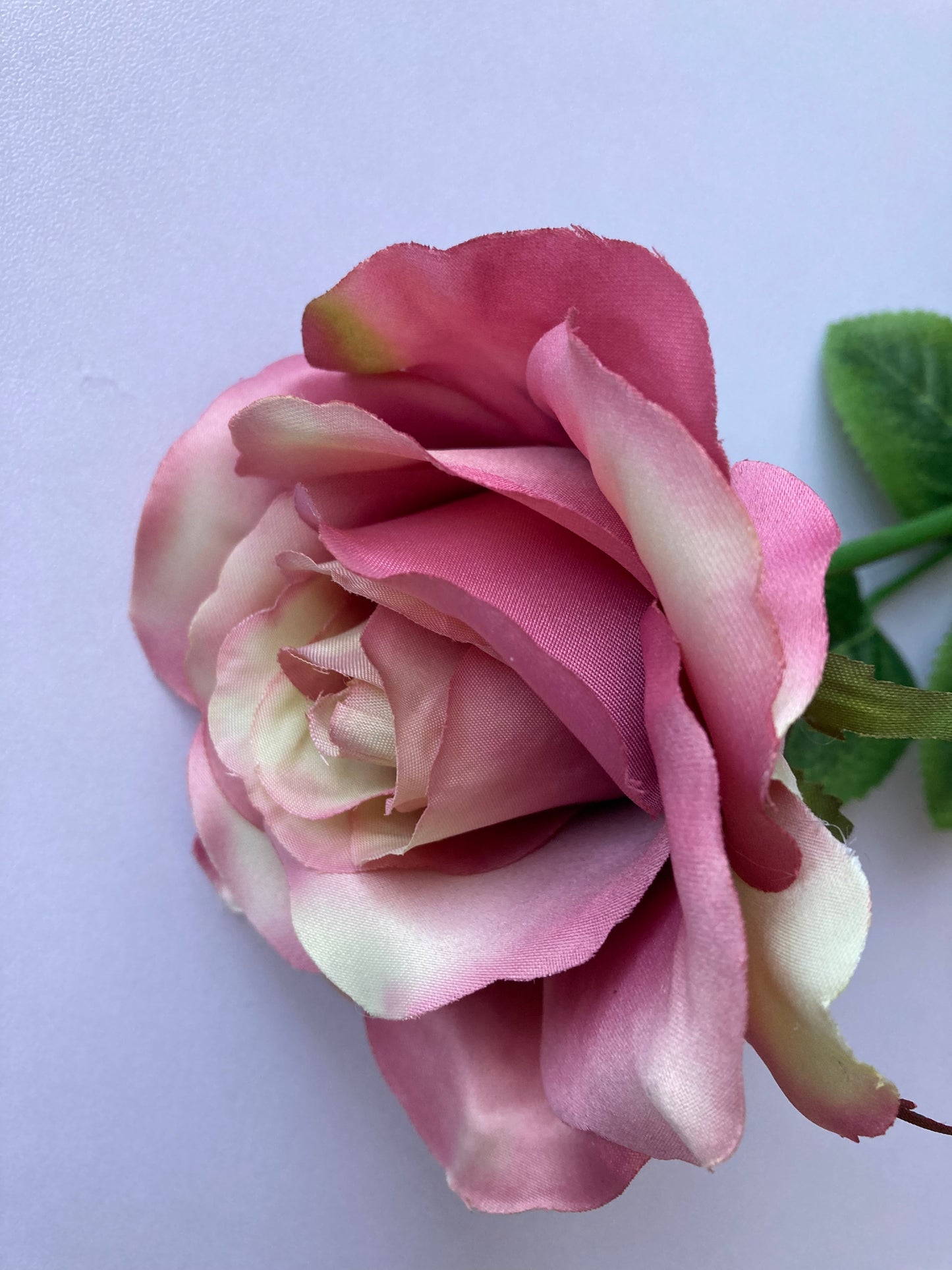 Elegant Open Deluxe Rose