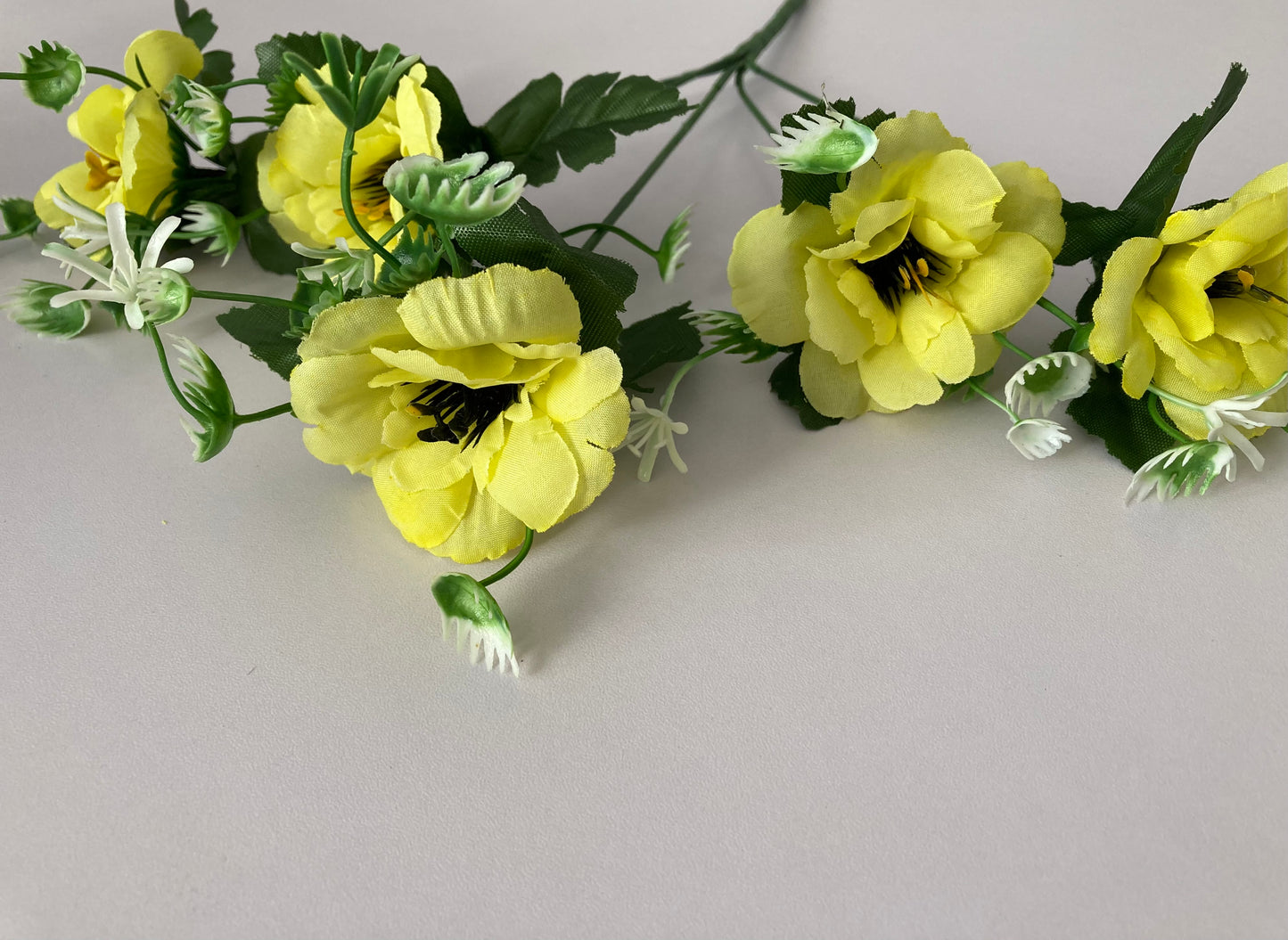 5 Bright Yellow Anemone Bunch