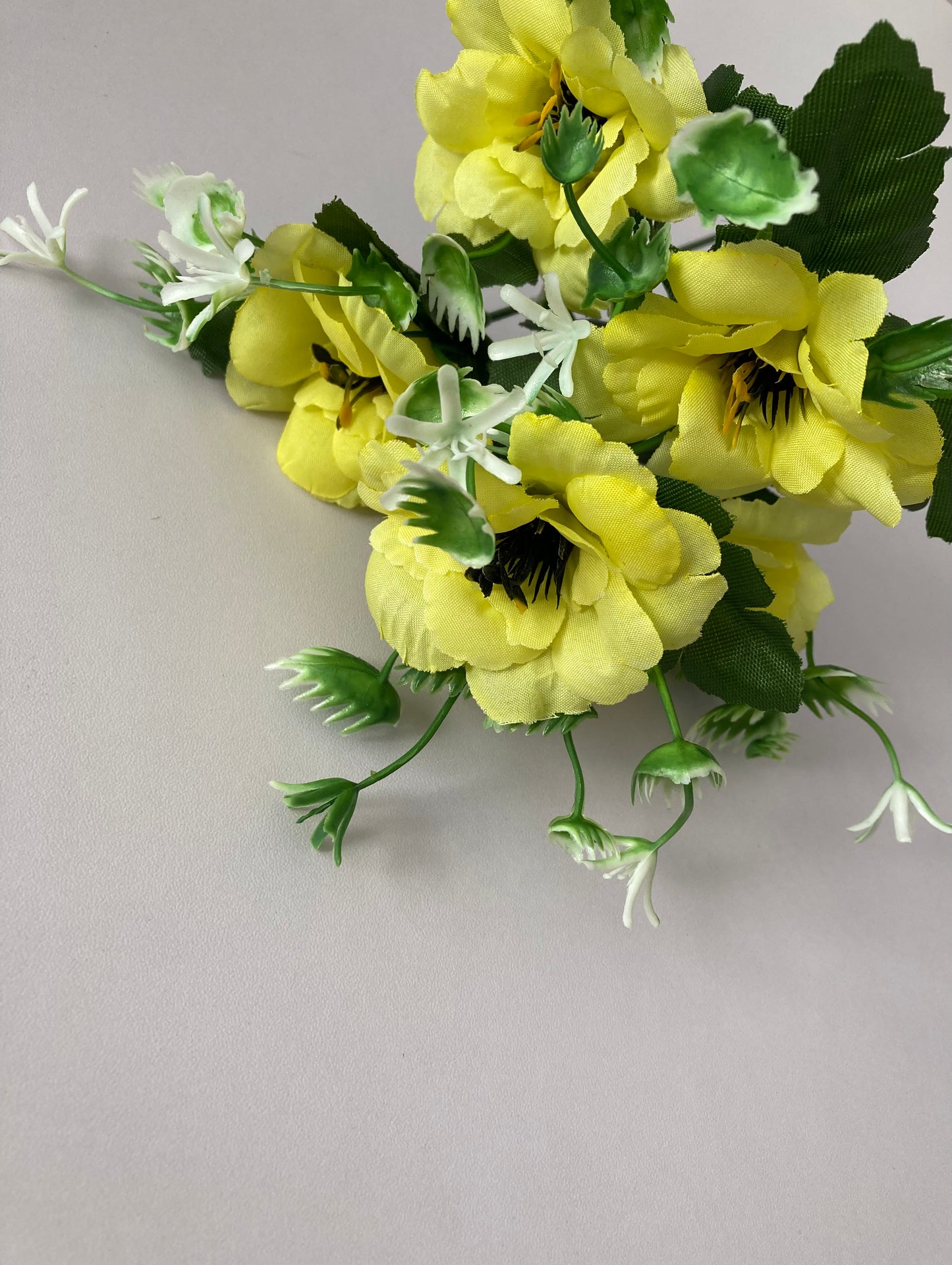 5 Bright Yellow Anemone Bunch