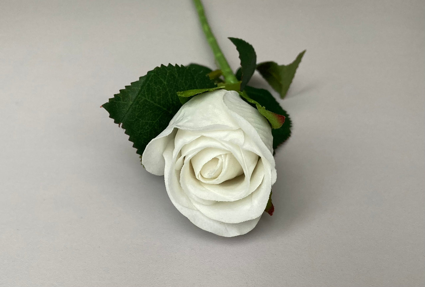 White Velvet Rosebud Stem