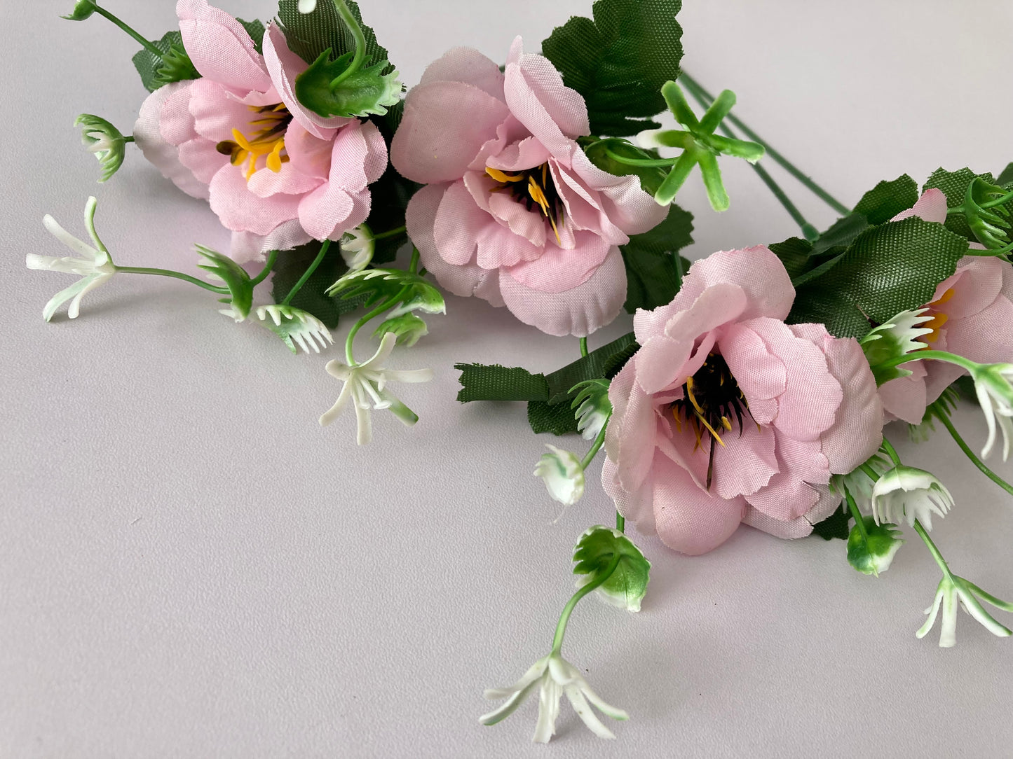 5 Pink Anemone Bunch