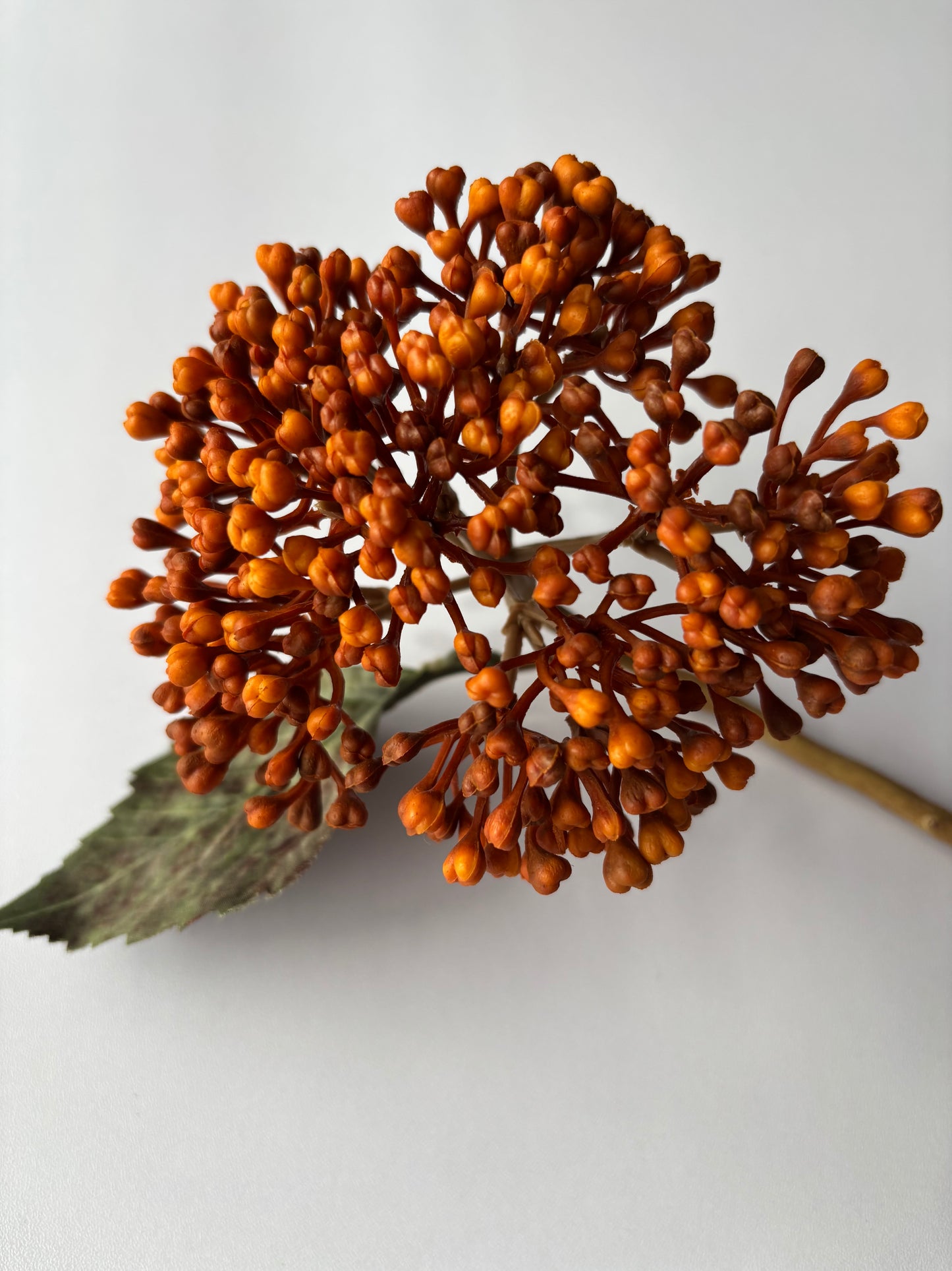 Autumn Hydrangea Berry Stem Orange