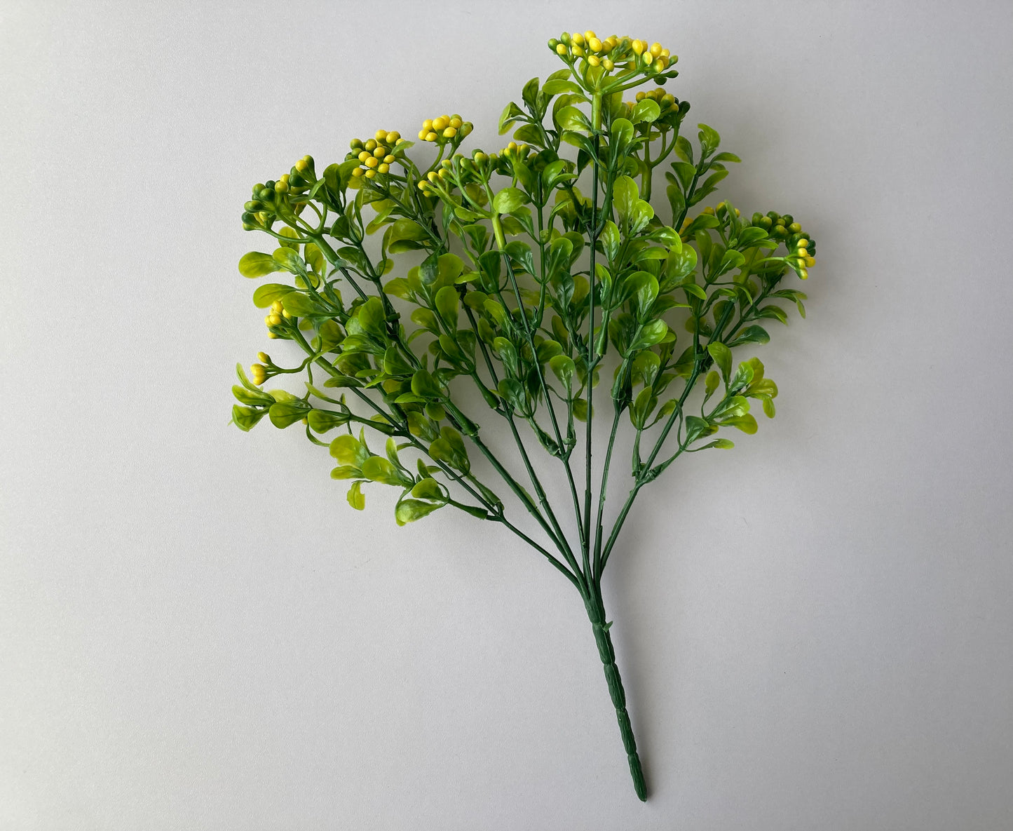 Yellow Berry & Foliage