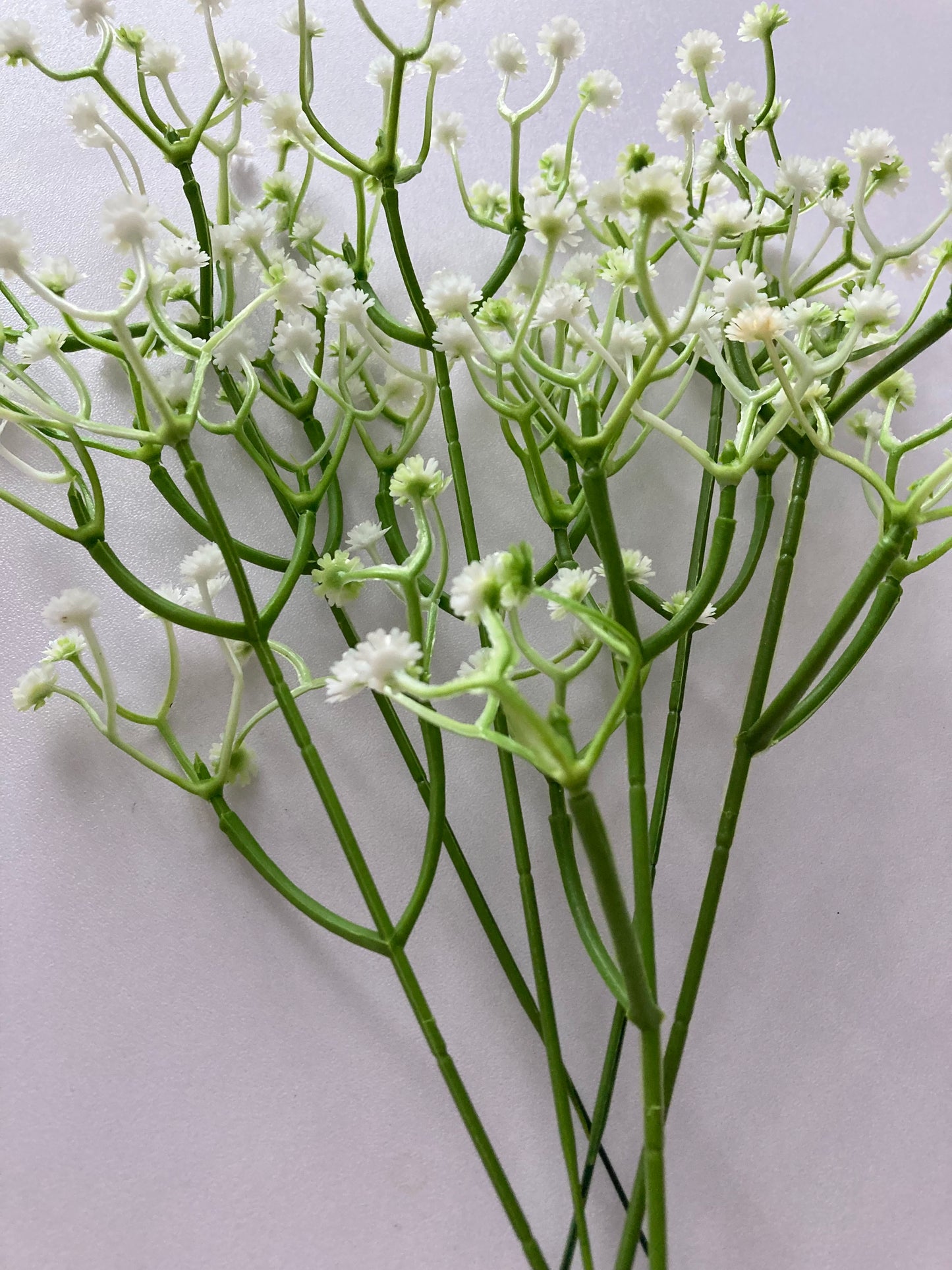 6 Stem White Gyp Bunch