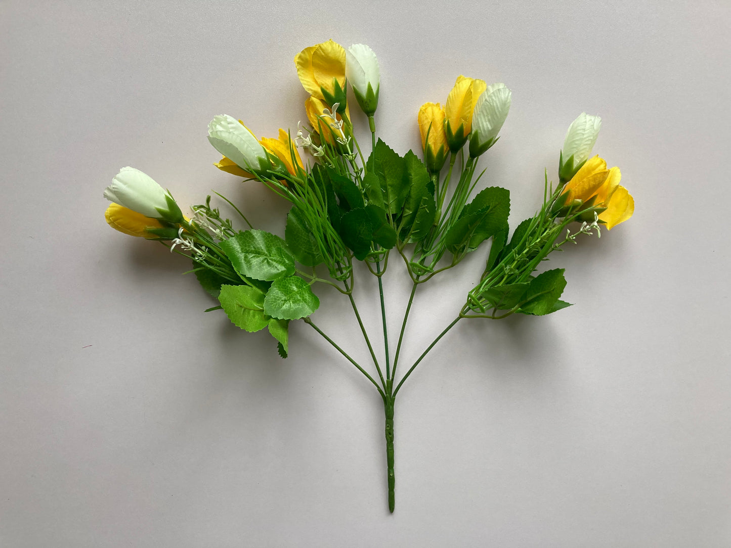 Yellow Crocus Bunch