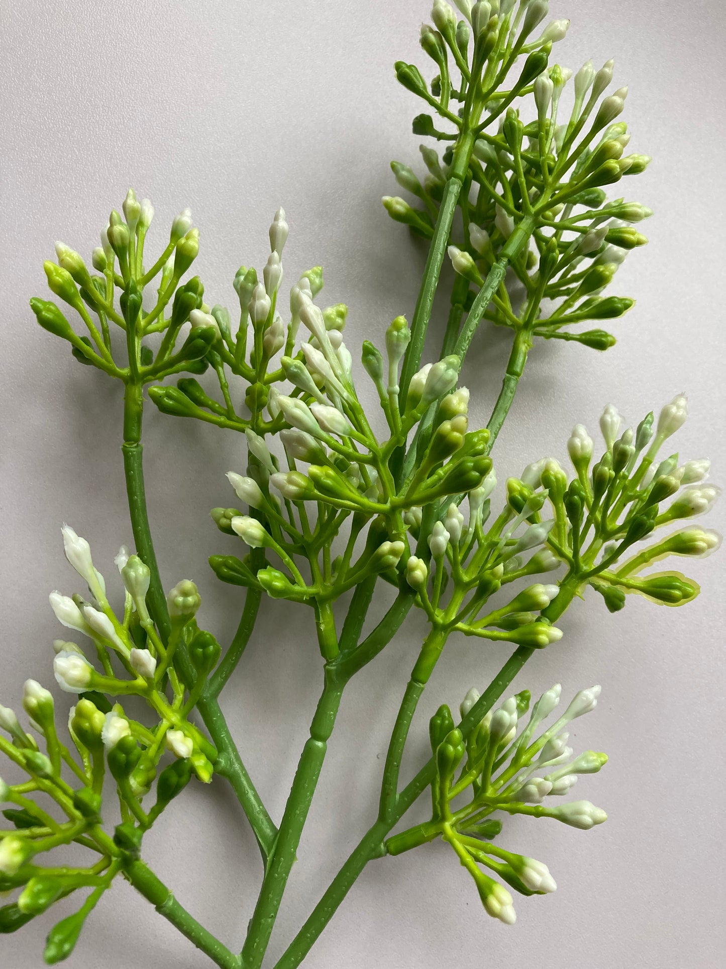 White Berry Spray