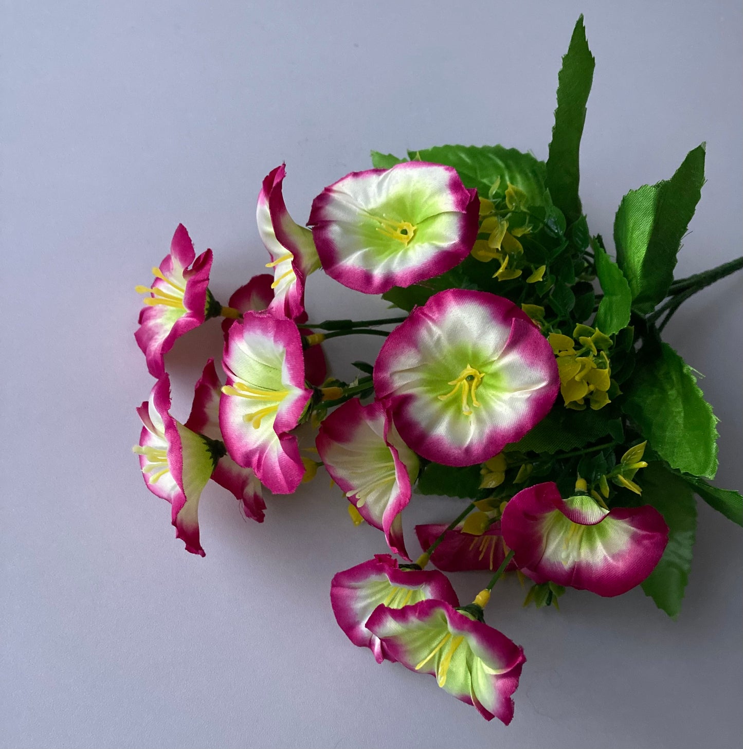 Pink Morning Glory Bunch