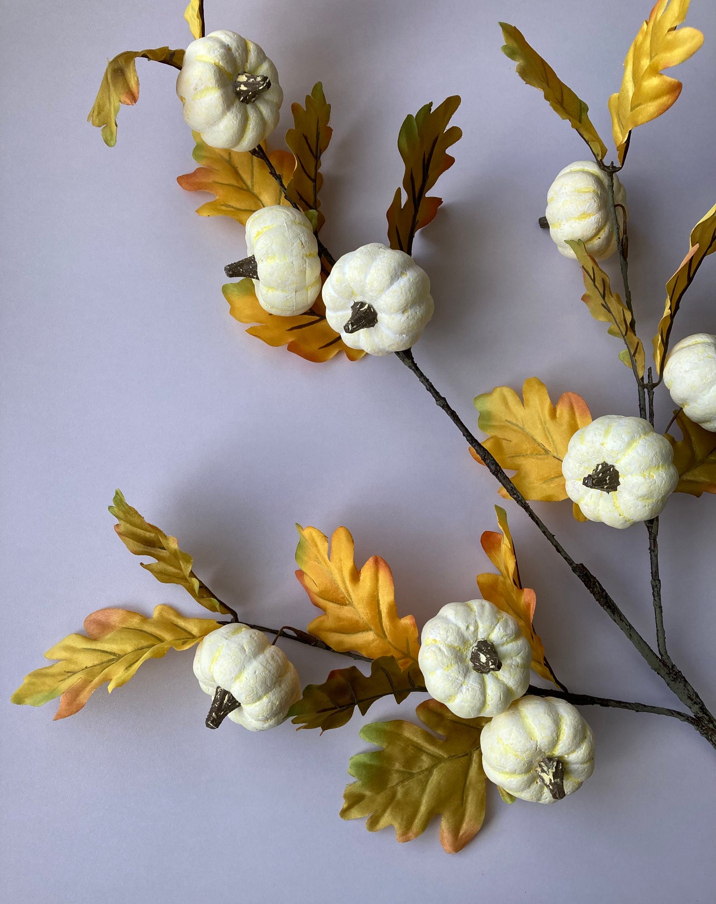 White Pumpkin Spray