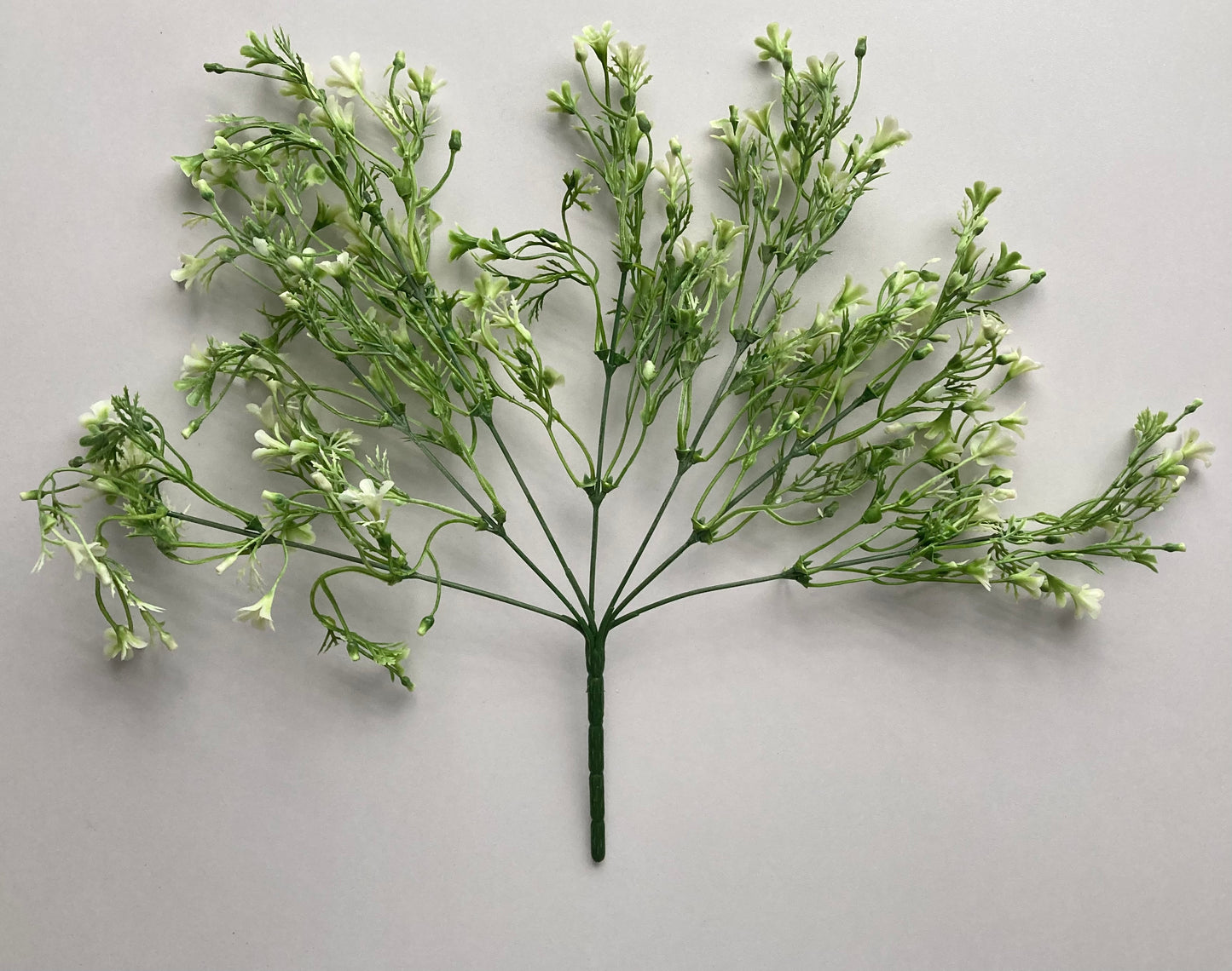 White & Green Flowered Foliage