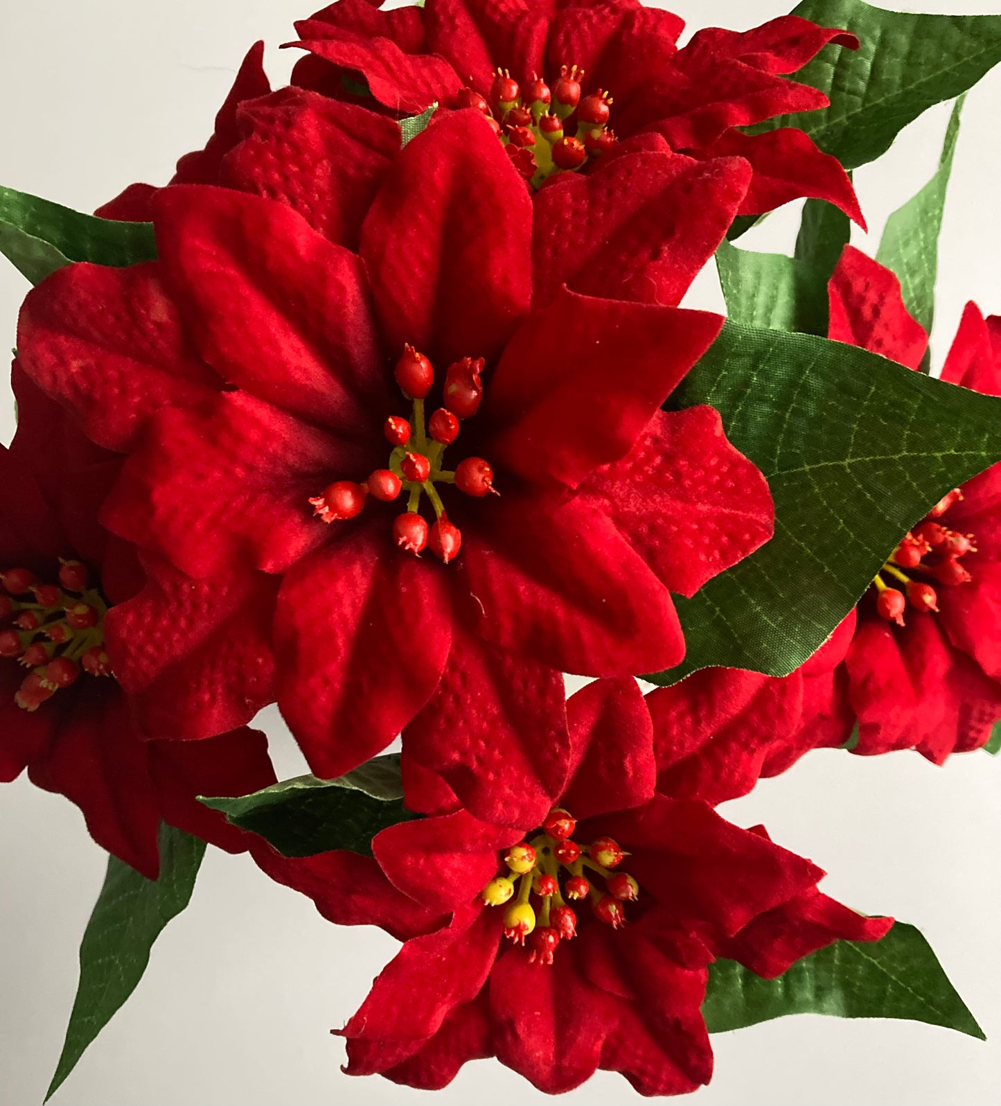 6 Red Poinsettia Soft Touch Bunch