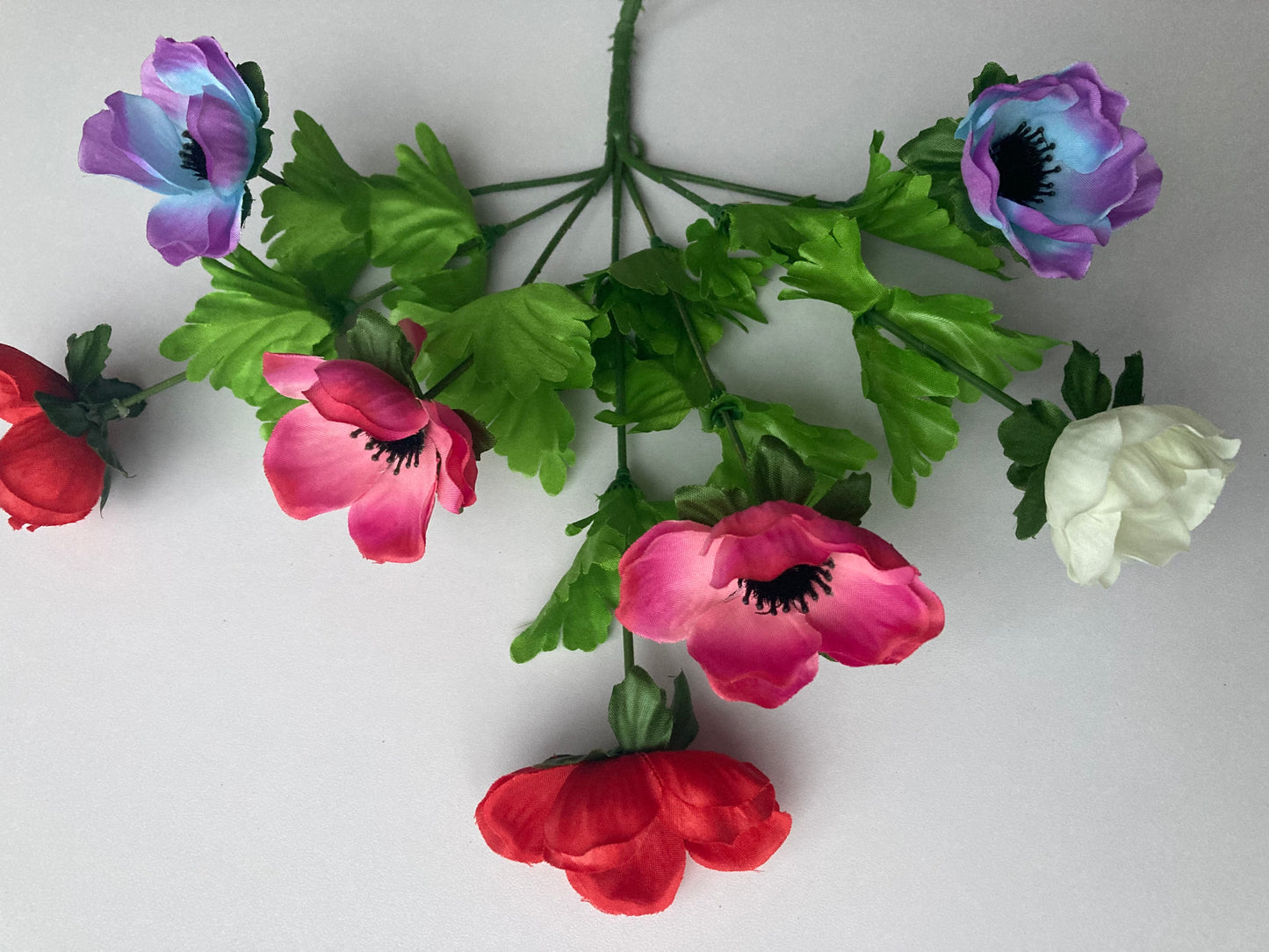 Colourful Anemone Bunch