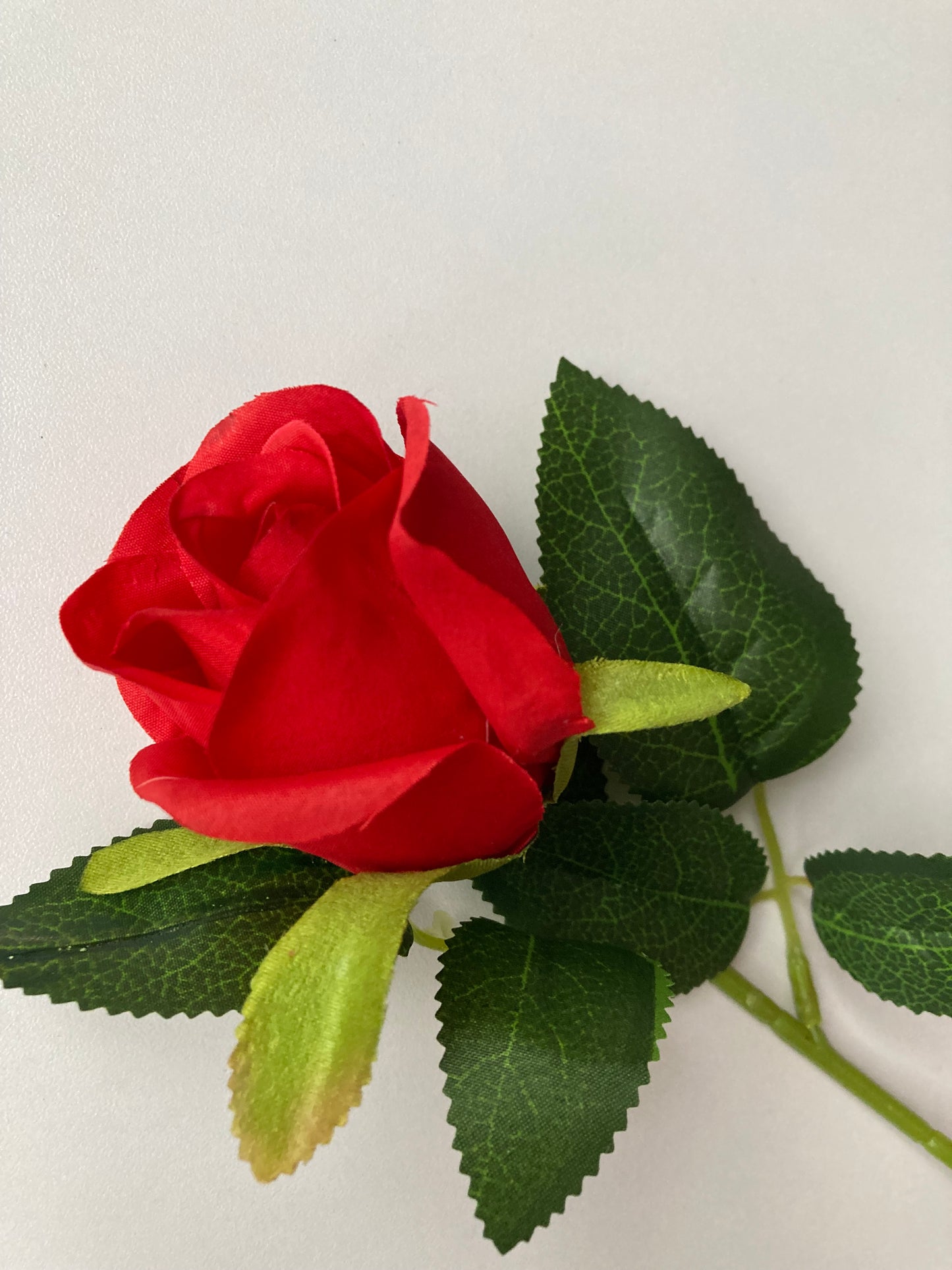 Short Stem Red Rose Bud