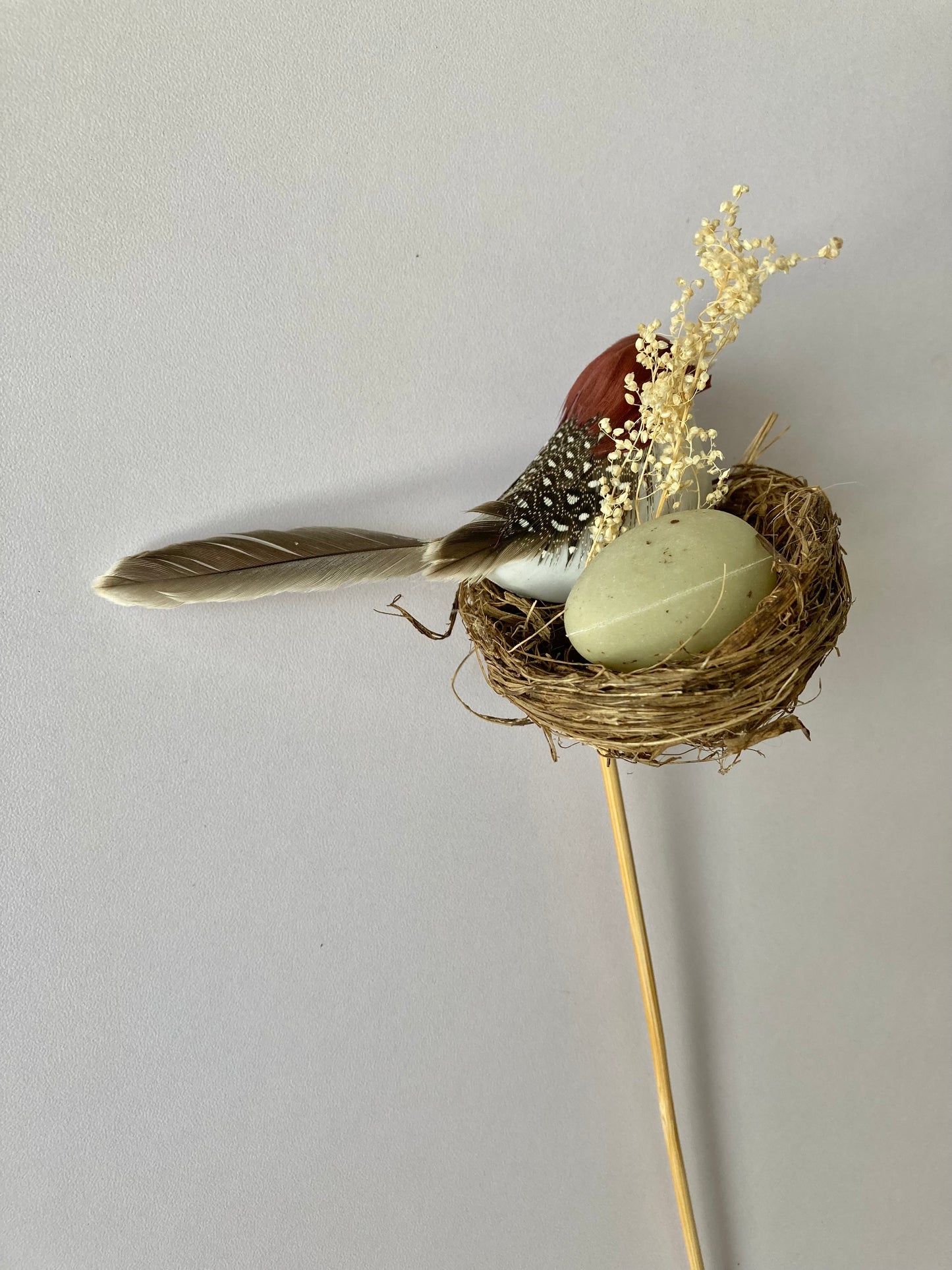 Bird Nest Pick