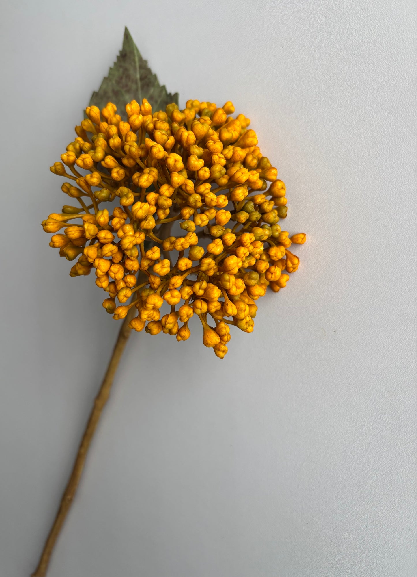 Mustard/Yellow Hydrangea Berry Stem