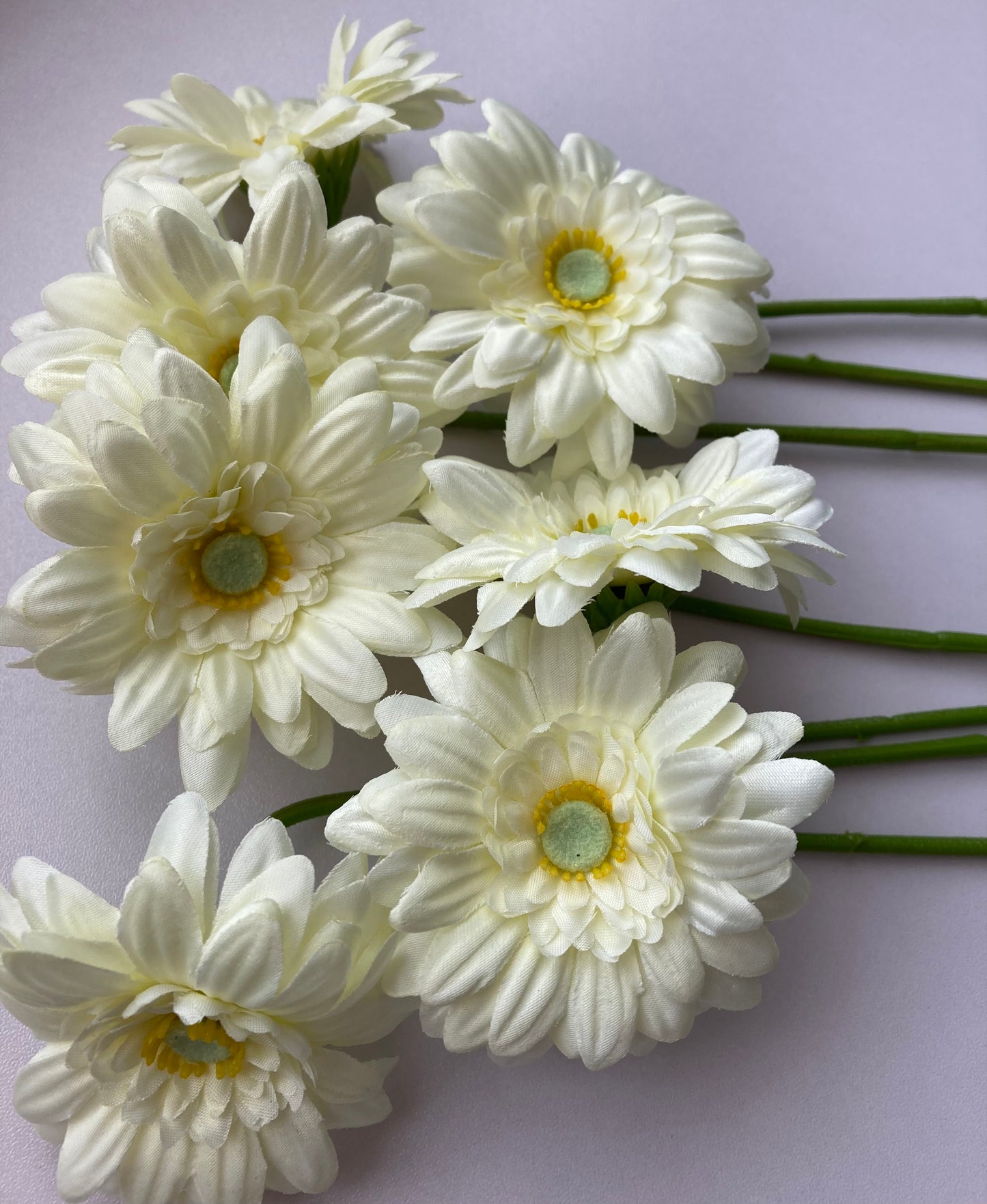 White Gerbera Bunch