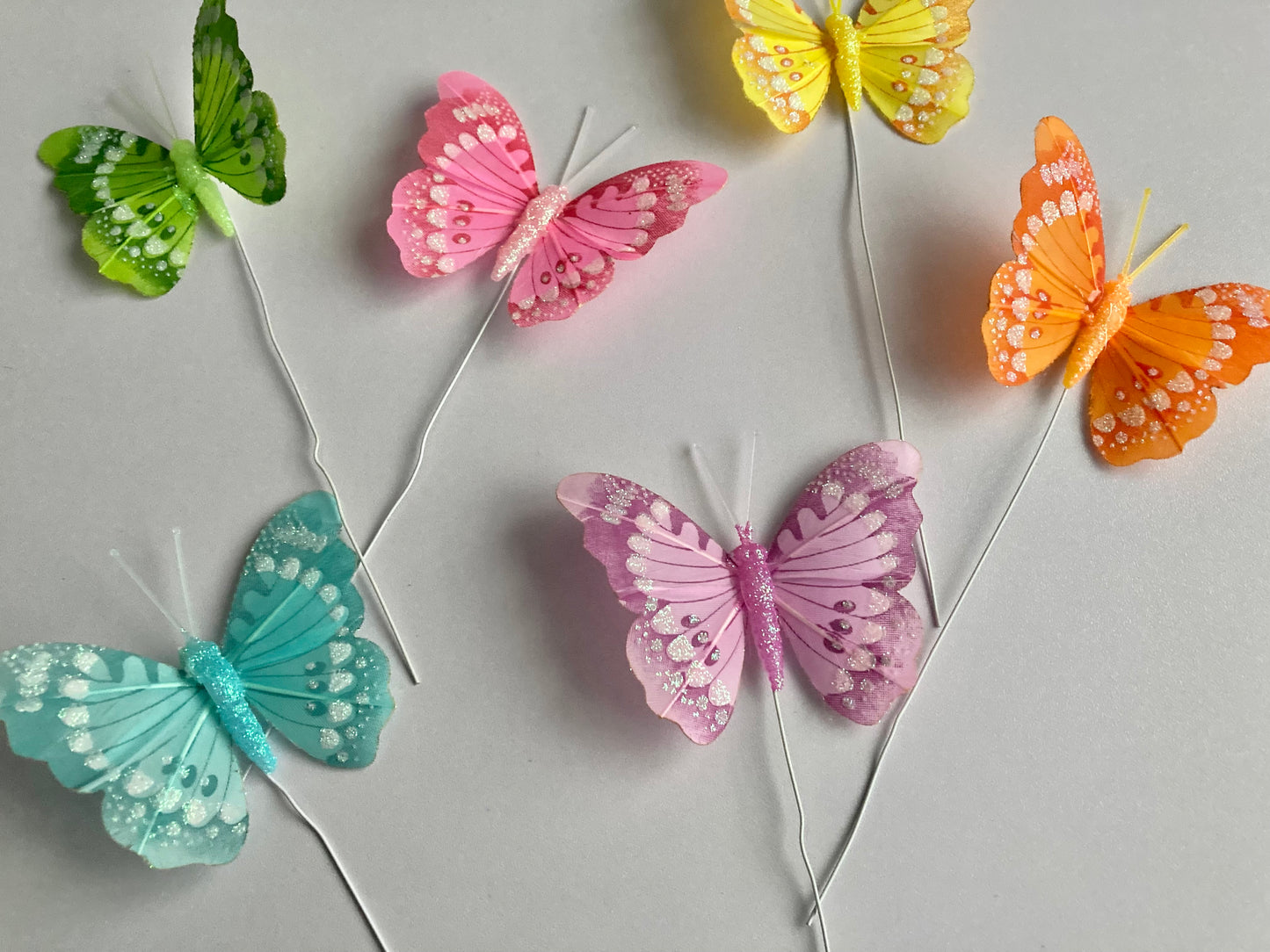 6 Colourful Butterfly Picks