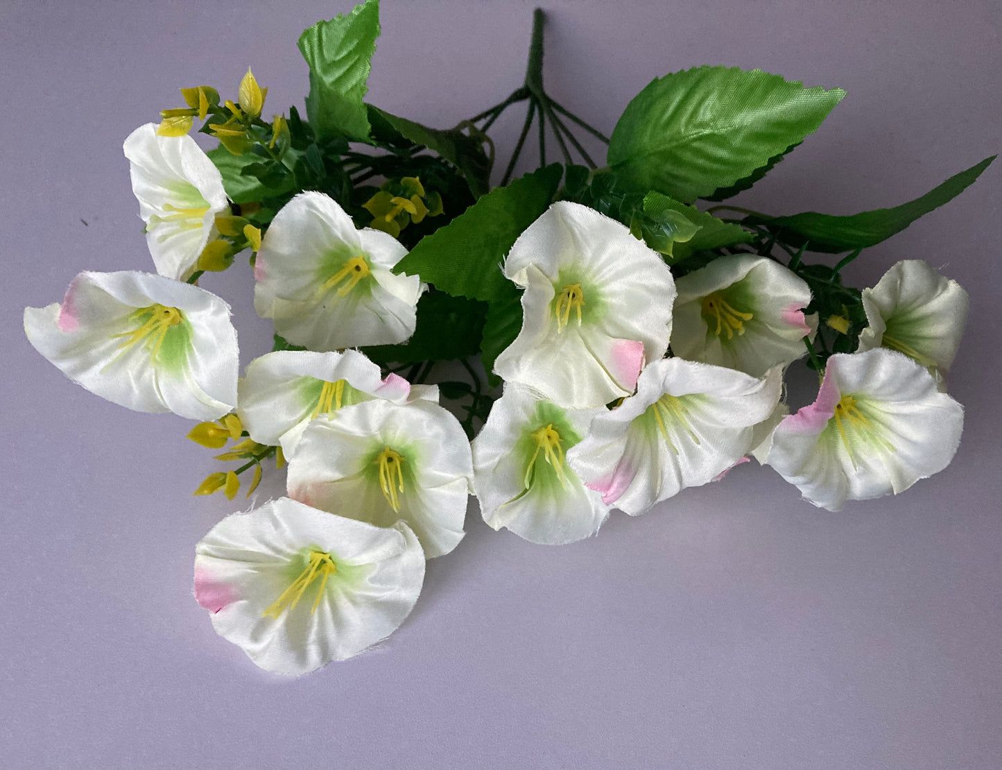 White Morning Glory Bunch