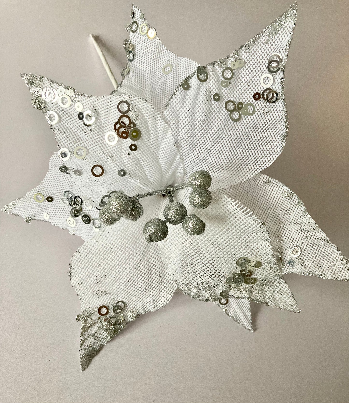 White & Silver Poinsettia