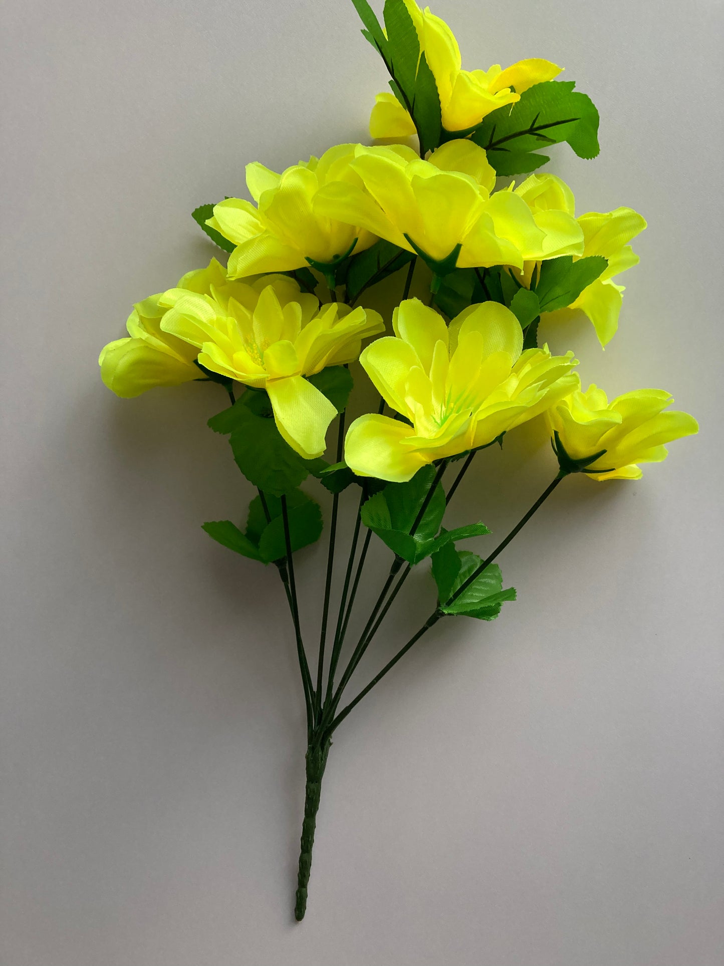 Yellow Dahlia Bunch